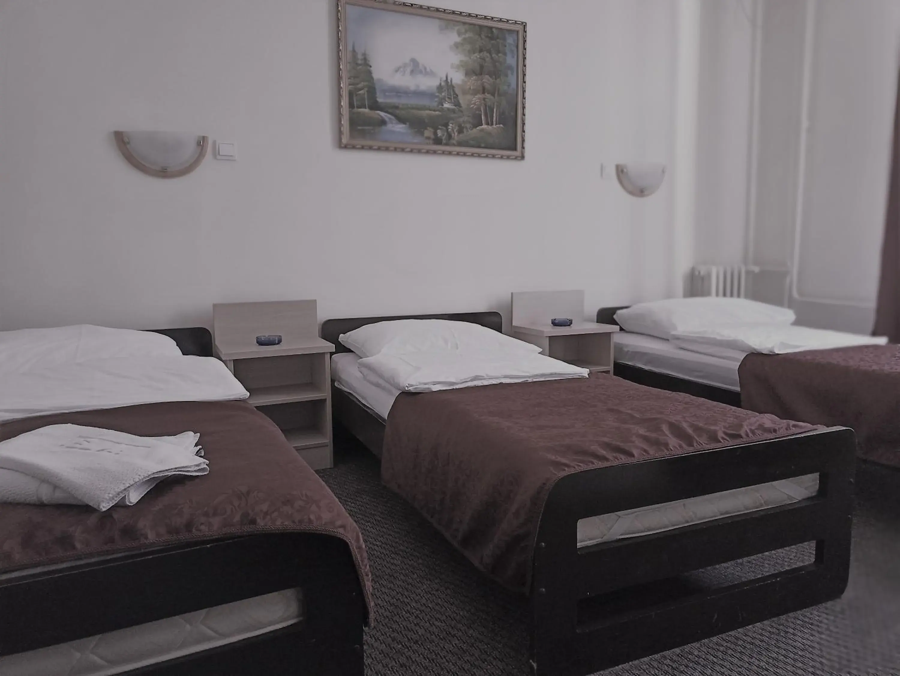 Photo of the whole room, Bed in Hotel Vojvodina