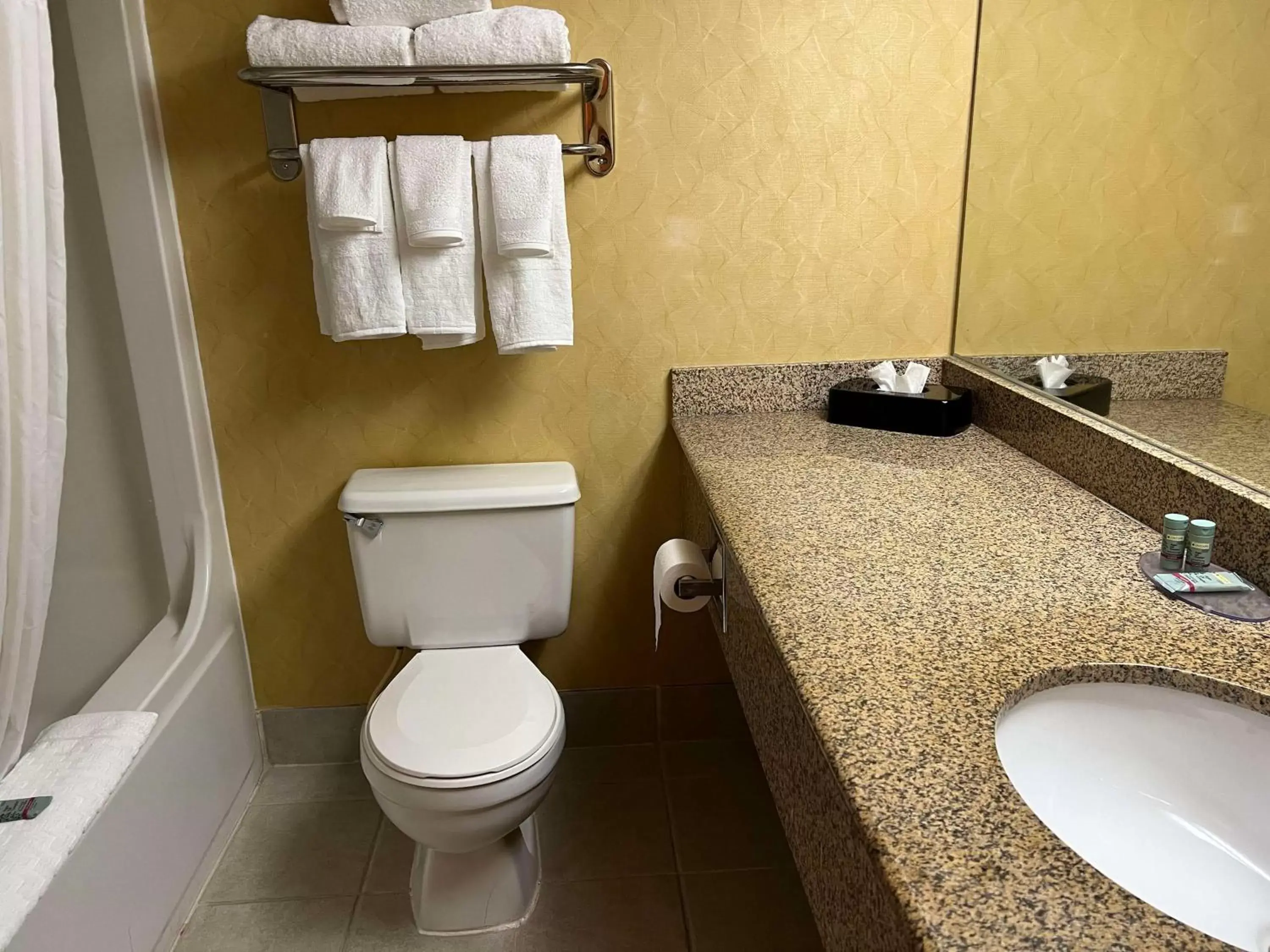 Bathroom in SureStay Plus Hotel by Best Western Hopkinsville