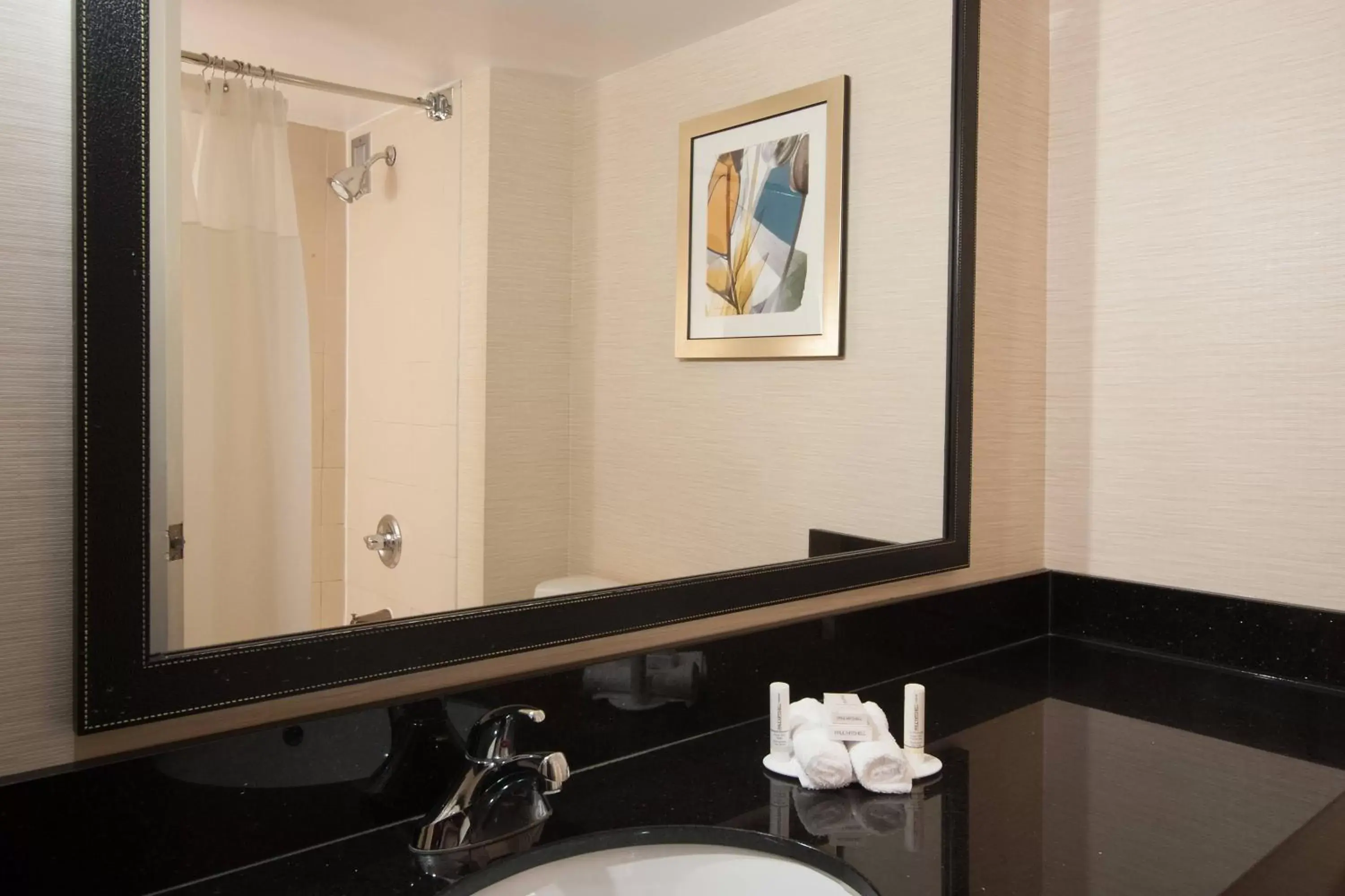 Bathroom in Fairfield Inn and Suites Atlanta Airport South/Sullivan Road