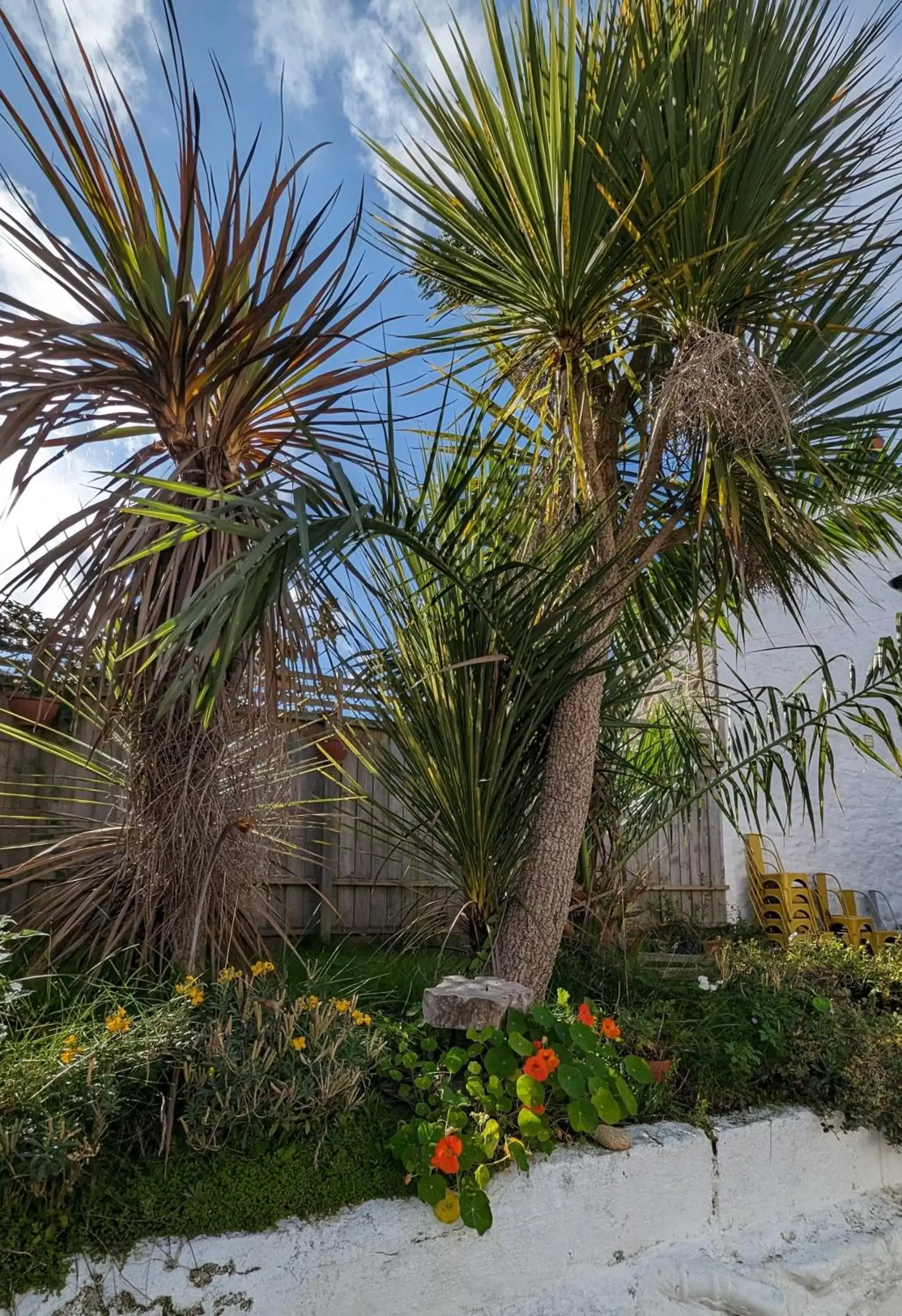 Garden view, Garden in Britannia House Vintage B&B Cornwall