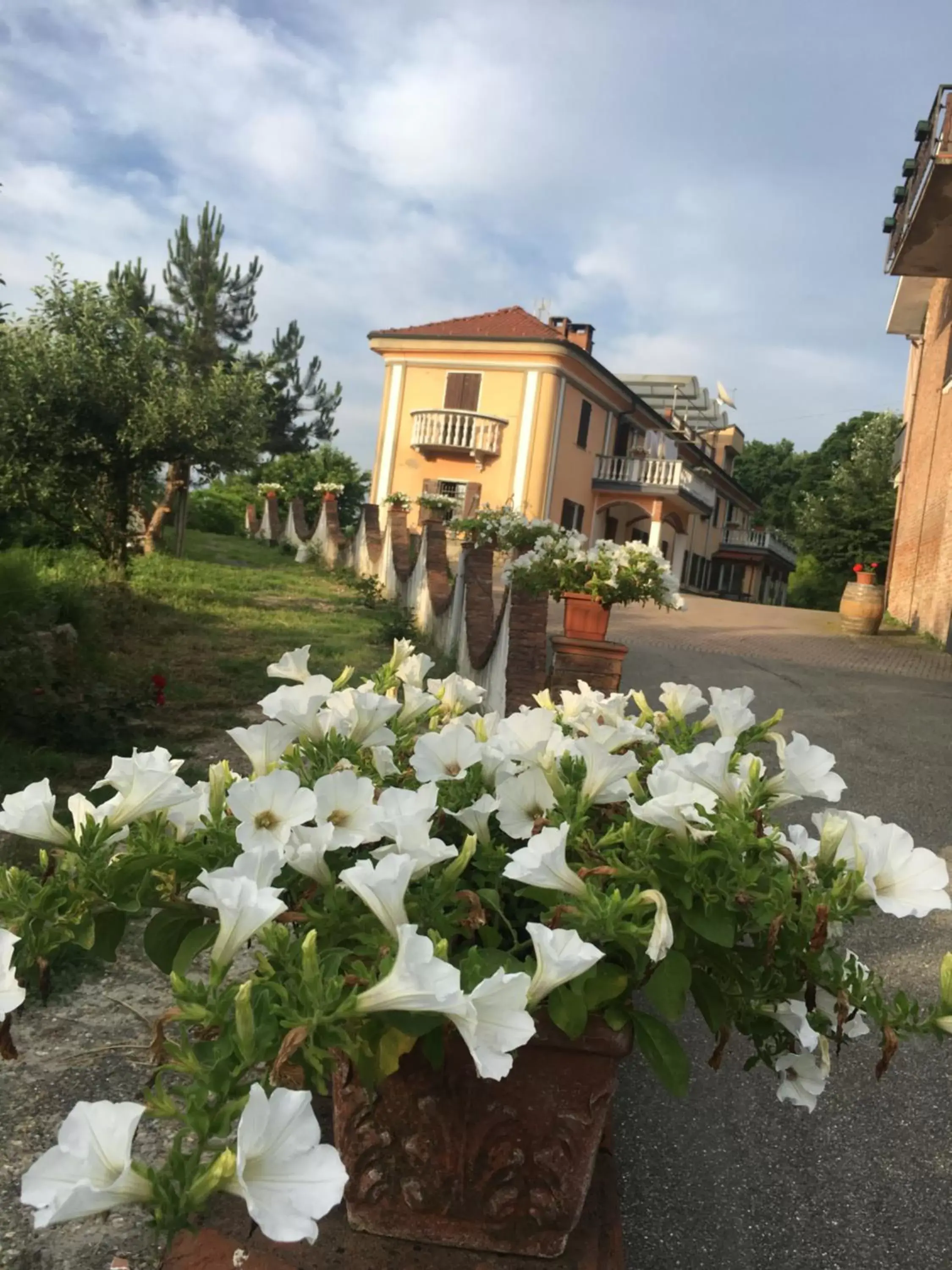 Facade/entrance, Property Building in B&B La Villarella dei Tulipani