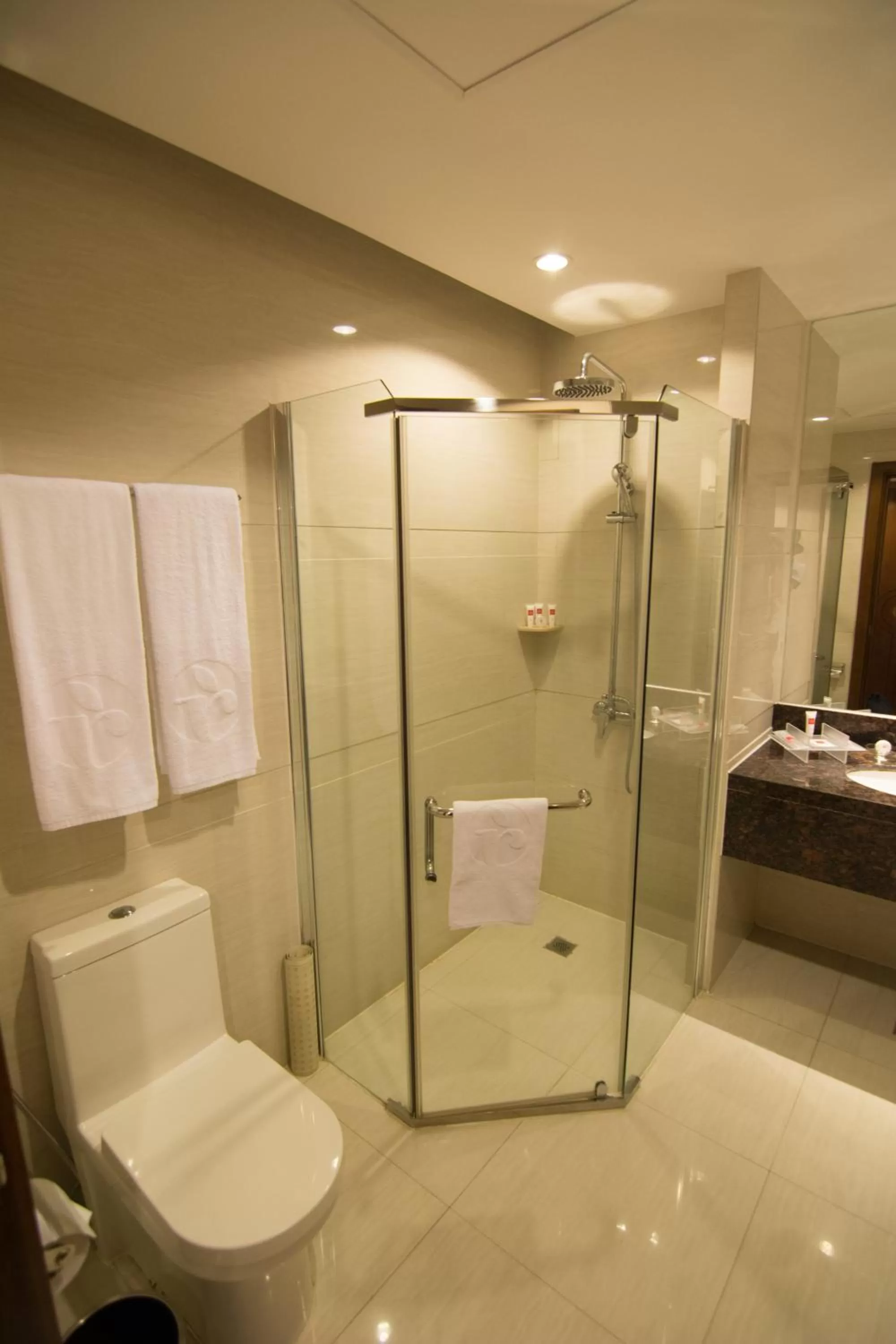 Shower in Ramada by Wyndham Manila Central