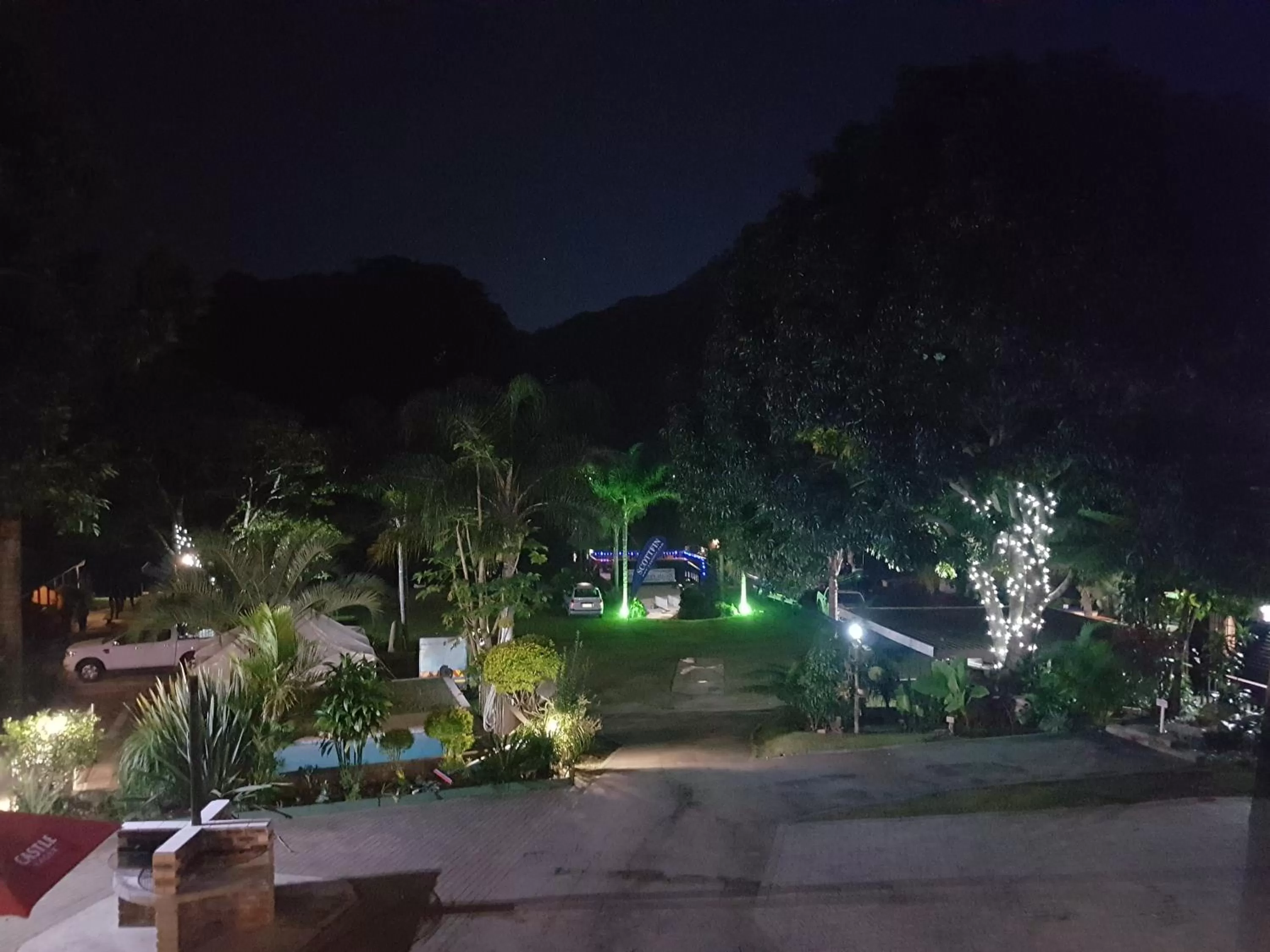 Night in The Spotted Grunter Resort