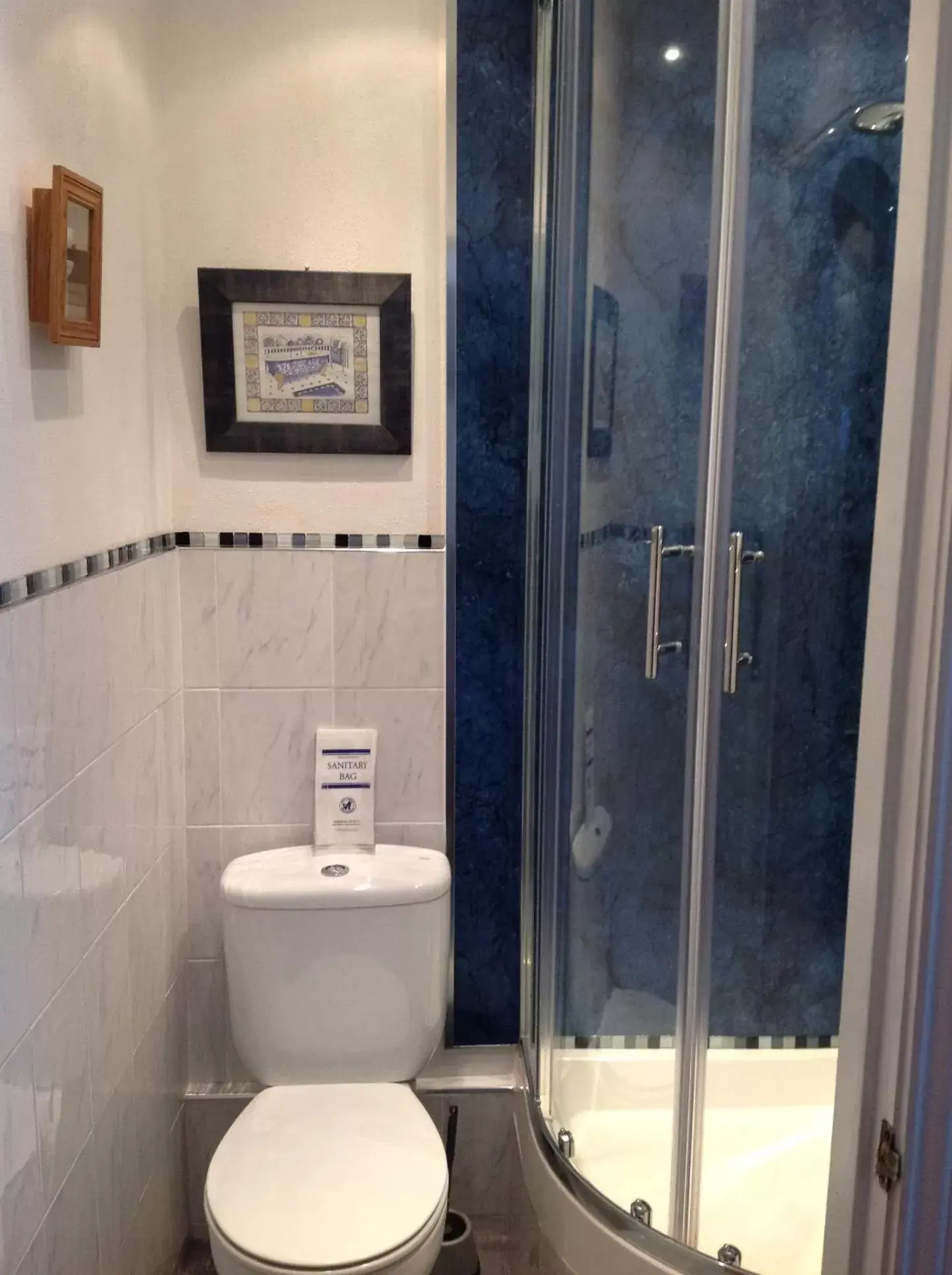 Shower, Bathroom in Heathfield Bed and Breakfast