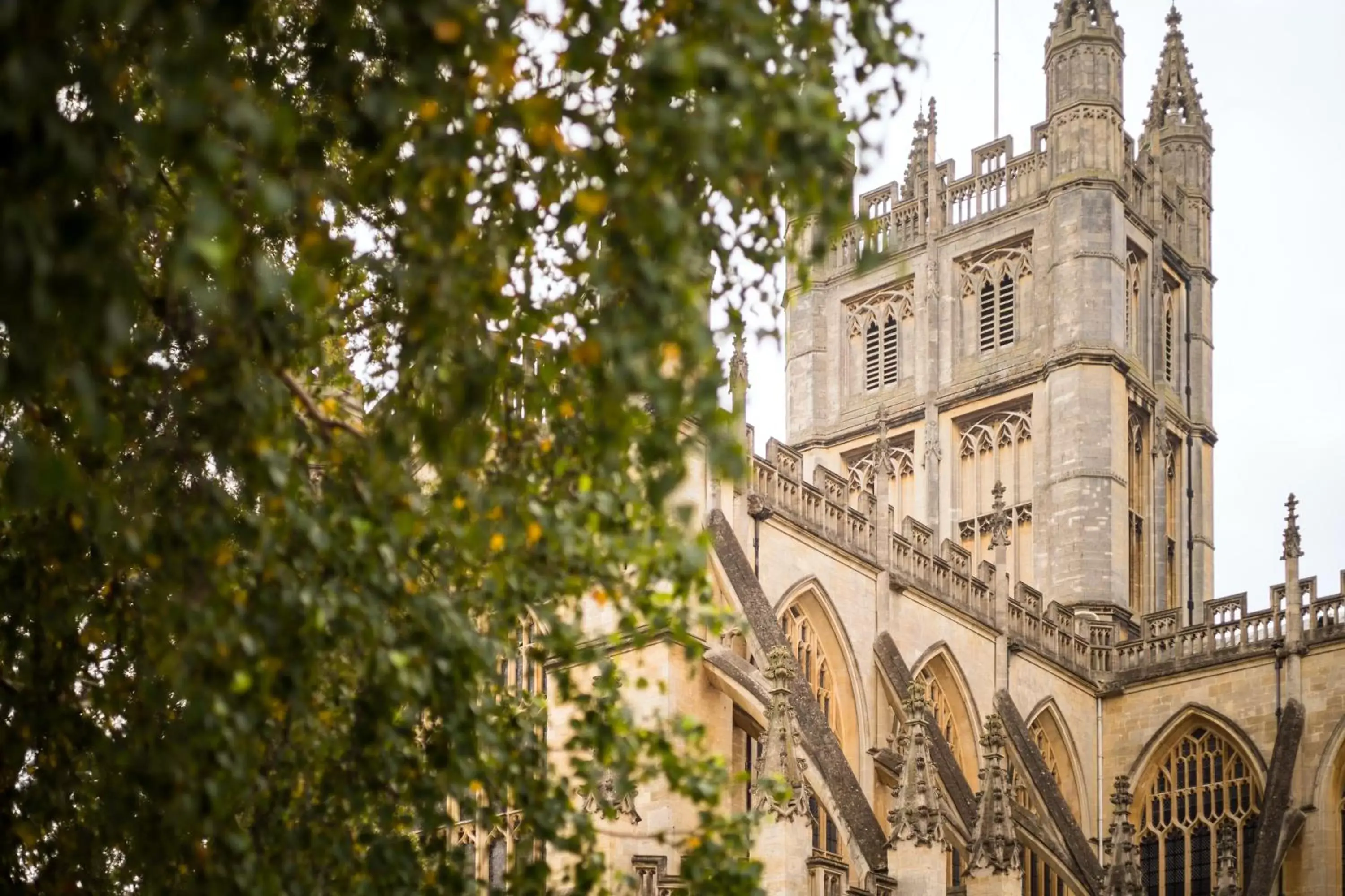 Nearby landmark in Apex City of Bath Hotel