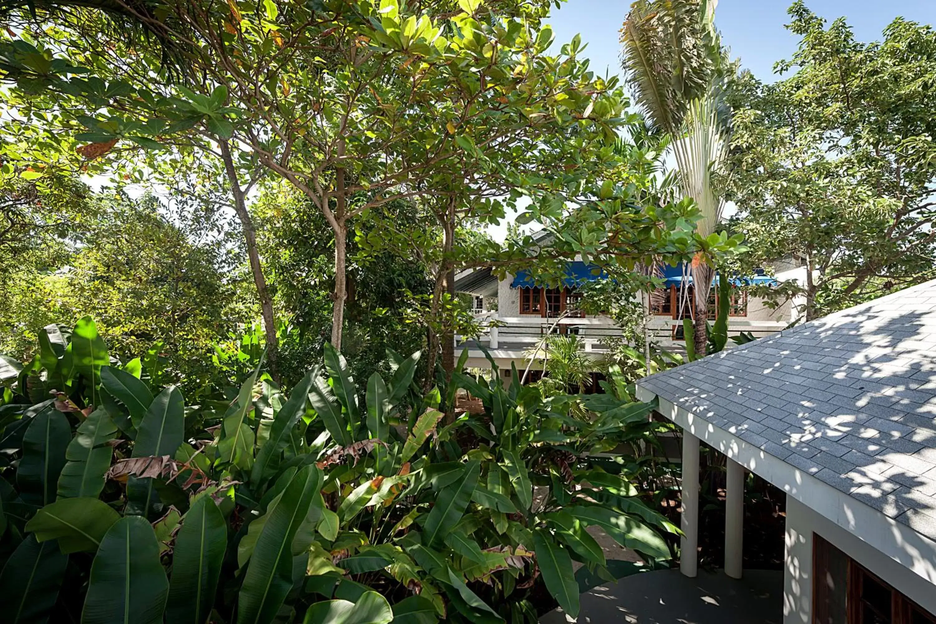 Balcony/Terrace in Beach House Condos, Negril