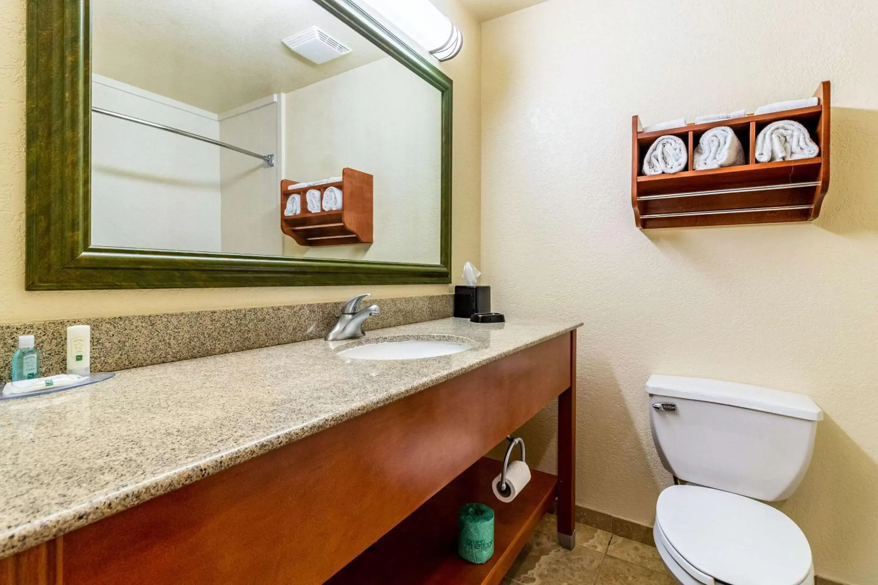 Bathroom in Quality Inn Texas City I-45