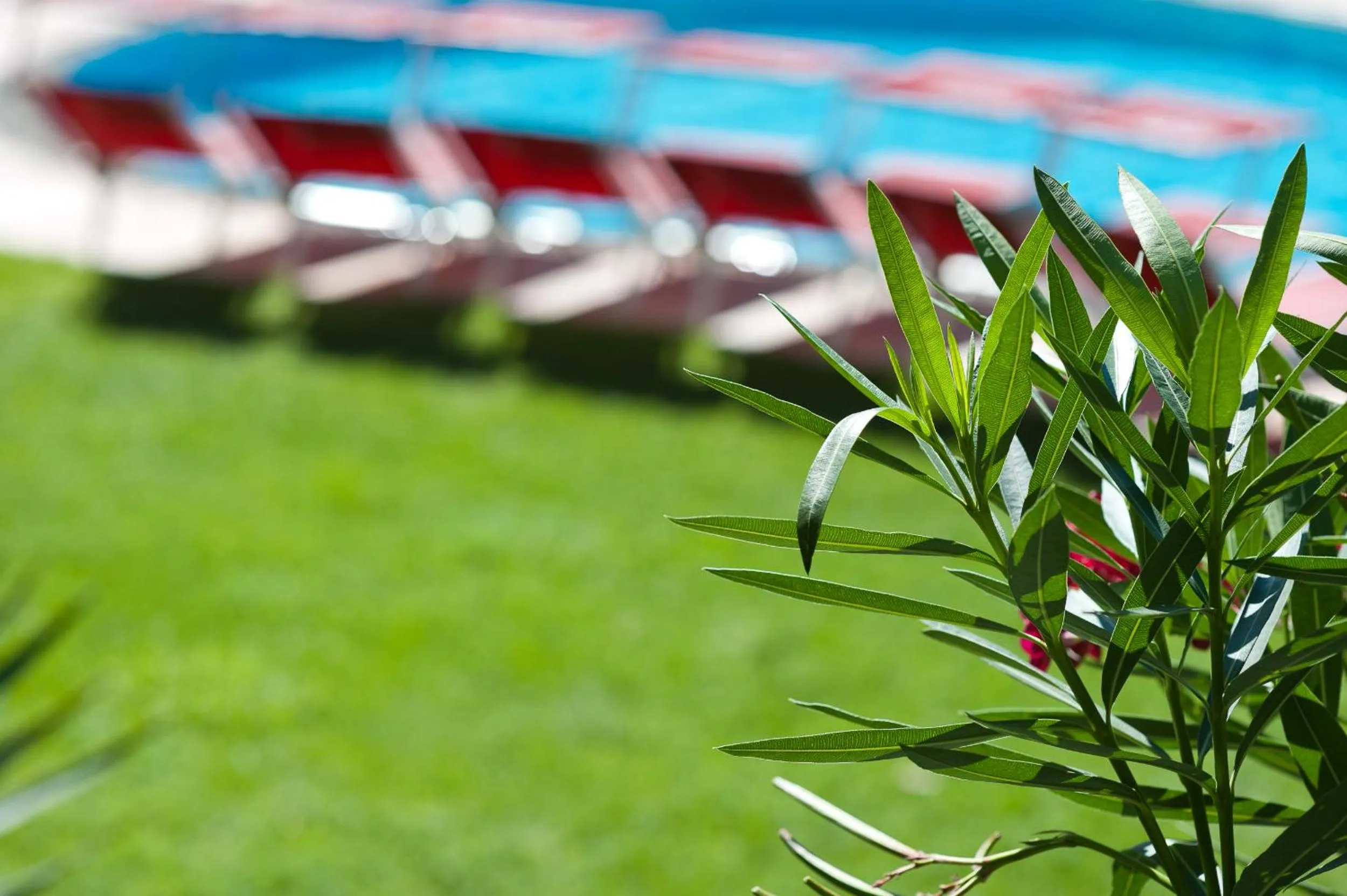 Garden in Business Resort Parkhotel Werth