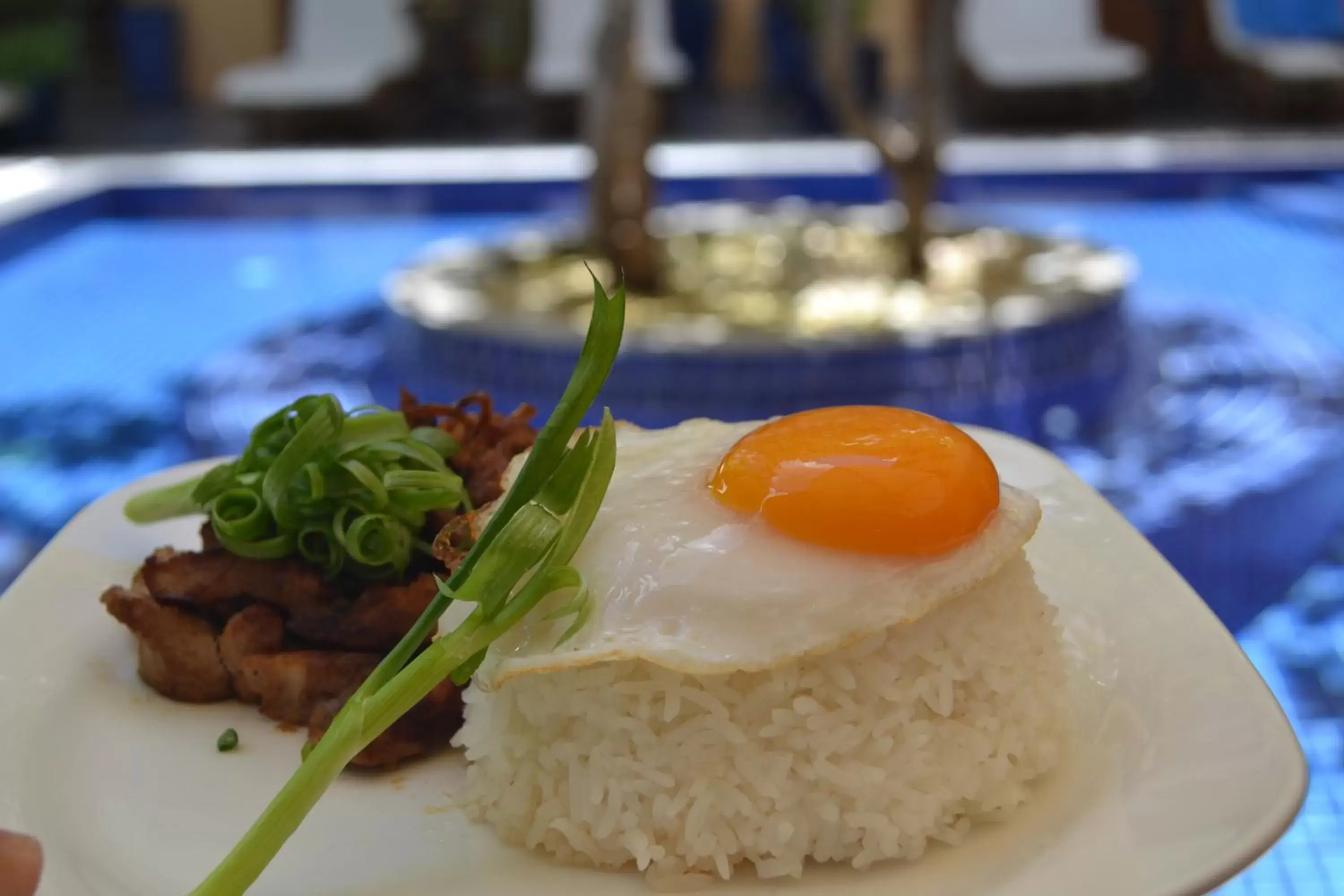 Food close-up, Swimming Pool in House Boutique Eco Hotel