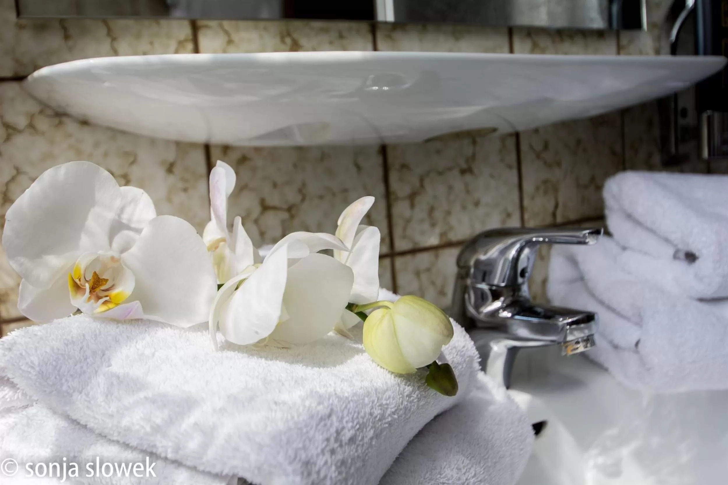 Decorative detail in Hotel Avenue Altenfurt