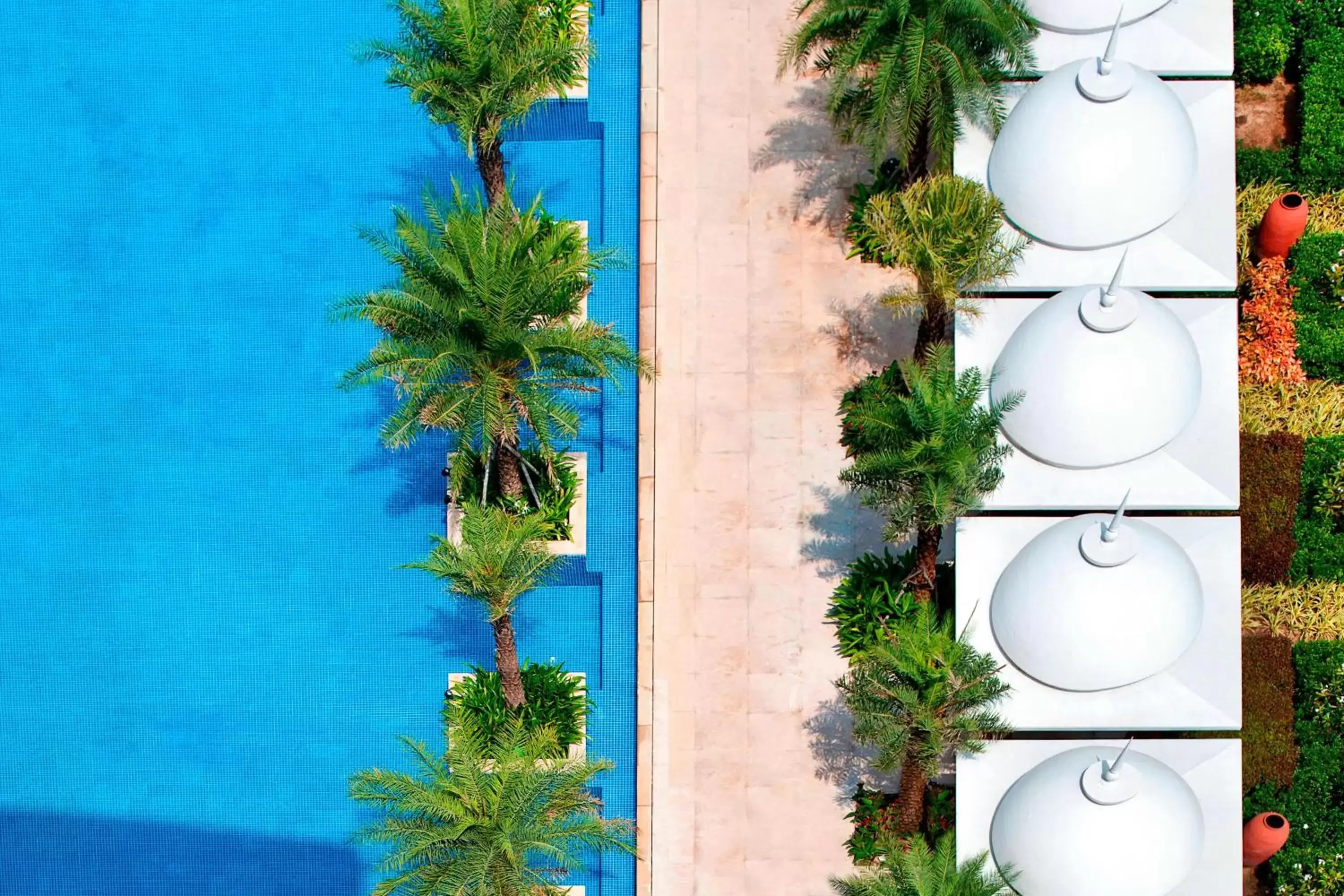 Swimming pool in Le Meridien Coimbatore