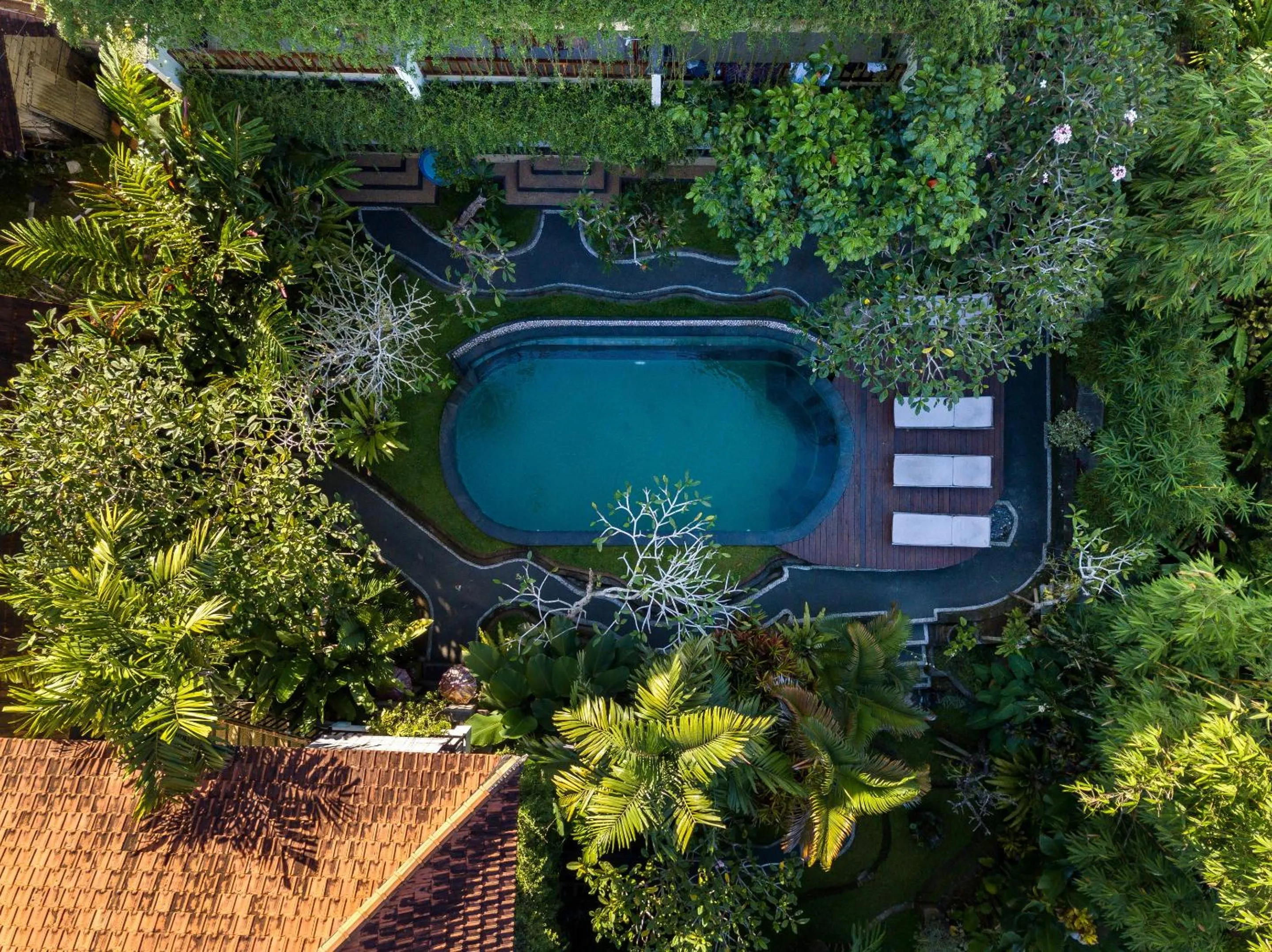 Bird's eye view in Padma Ubud Retreat