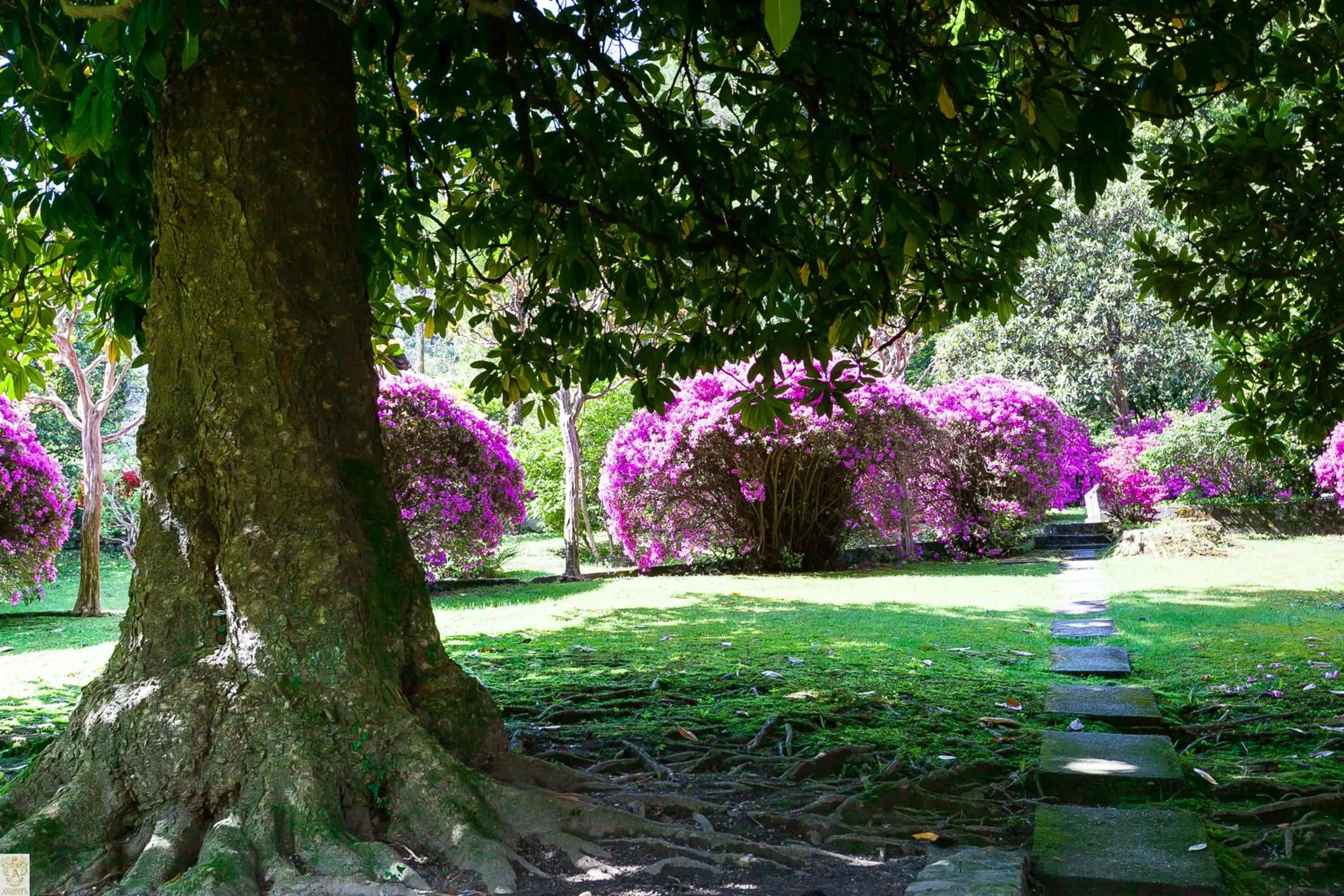 Garden in Villa e Palazzo Aminta - A Leading Hotel of The World