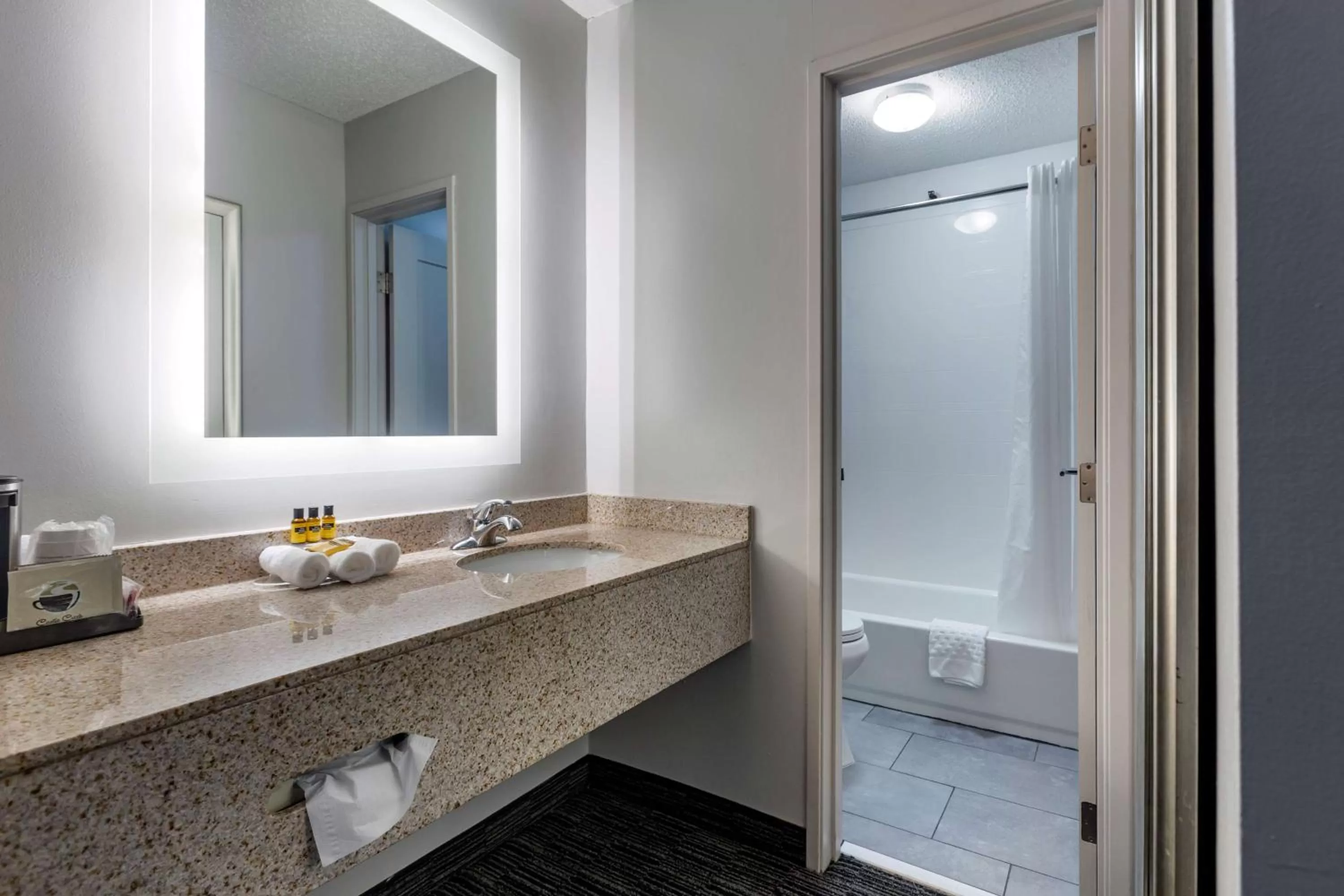 Bathroom in Best Western Plus Como Park Hotel