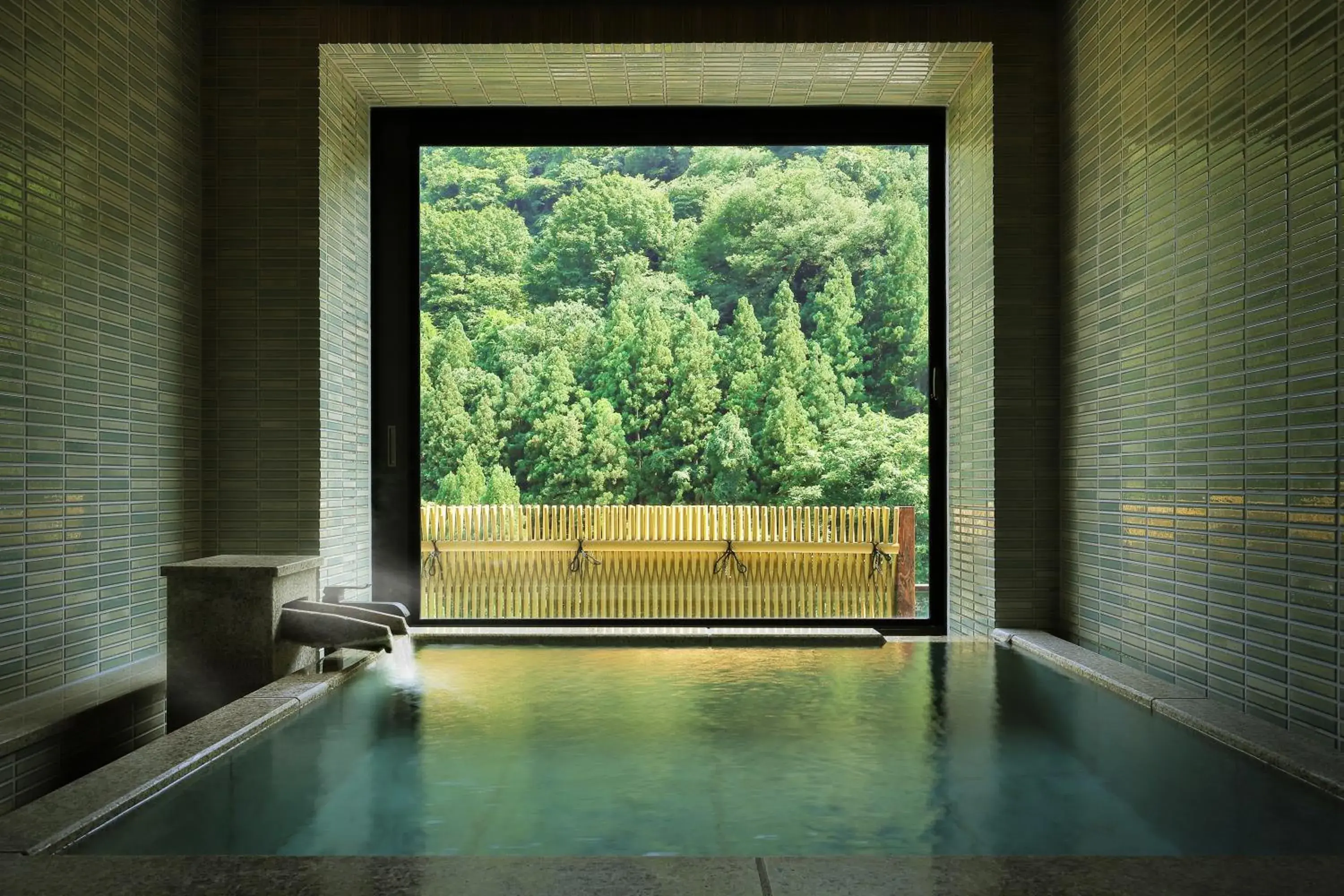 Natural landscape, Swimming Pool in Ryokan Tachibanaya