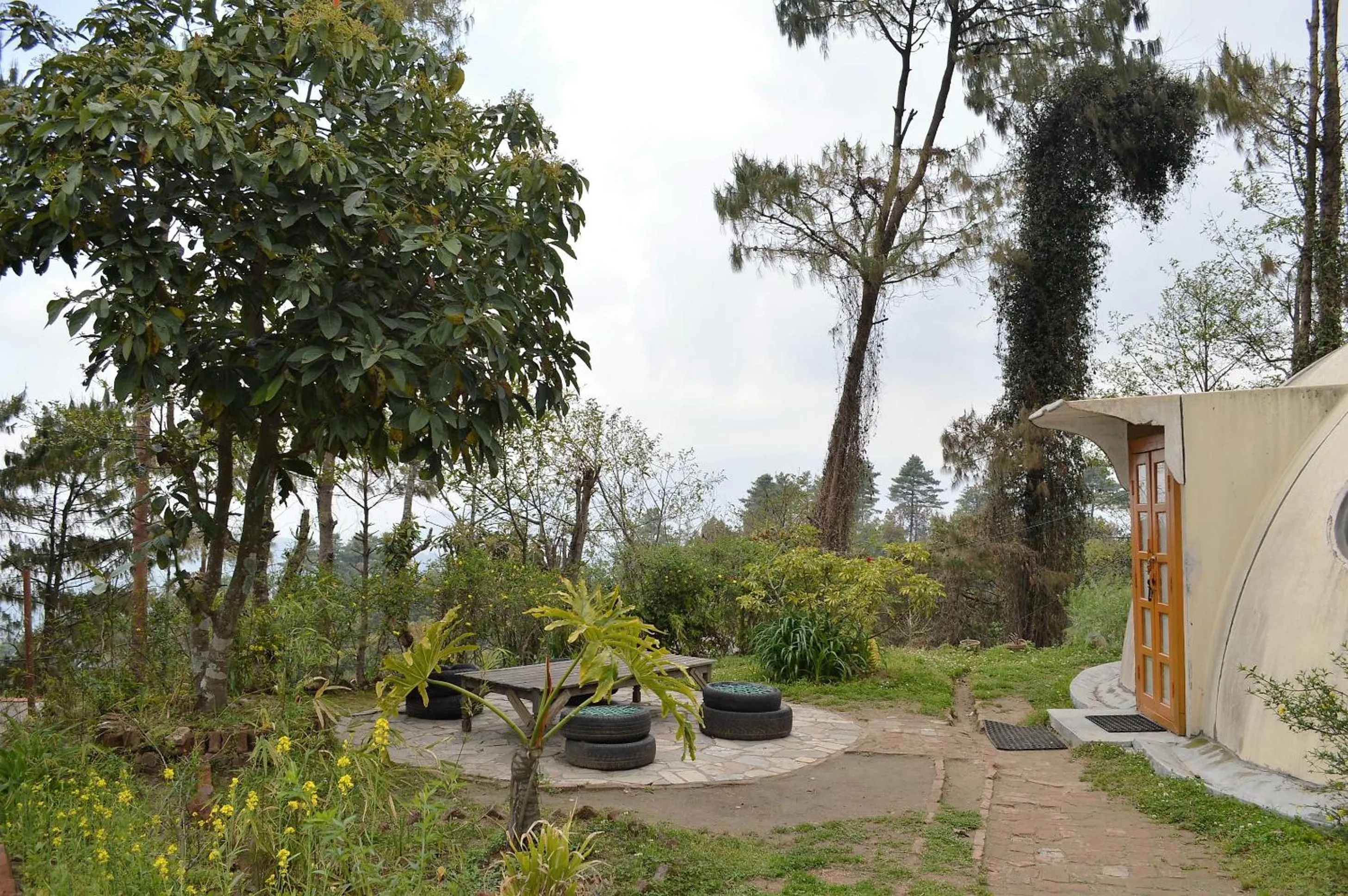 Hotel At The End Of The Universe