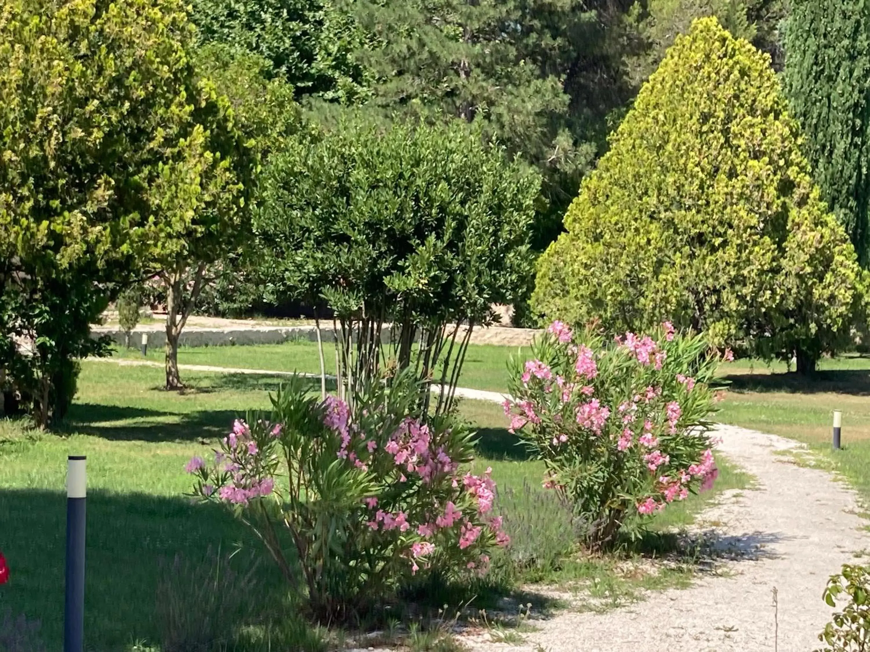 Day, Garden in Mas Galinette