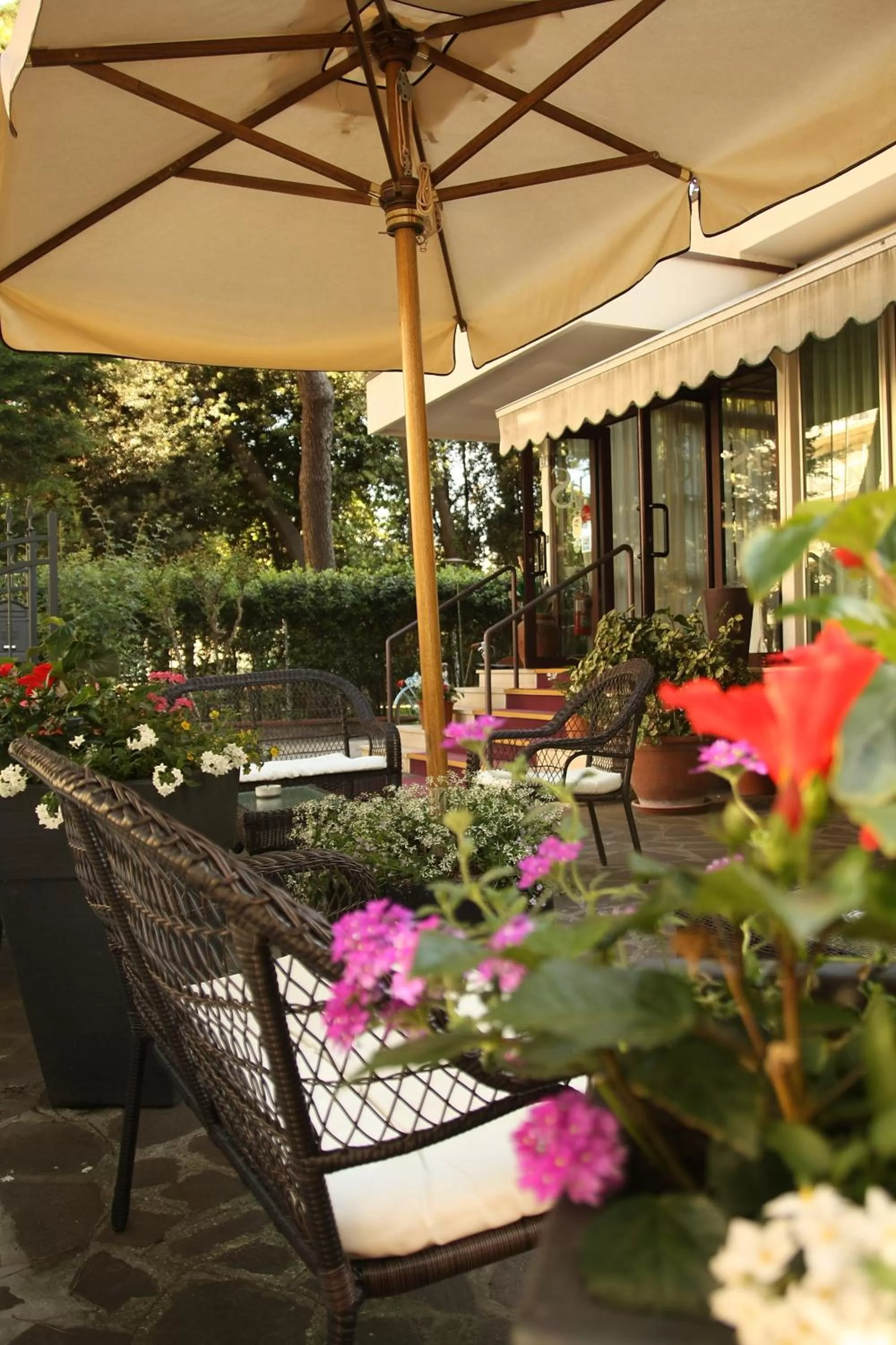 Garden in Hotel Santiago