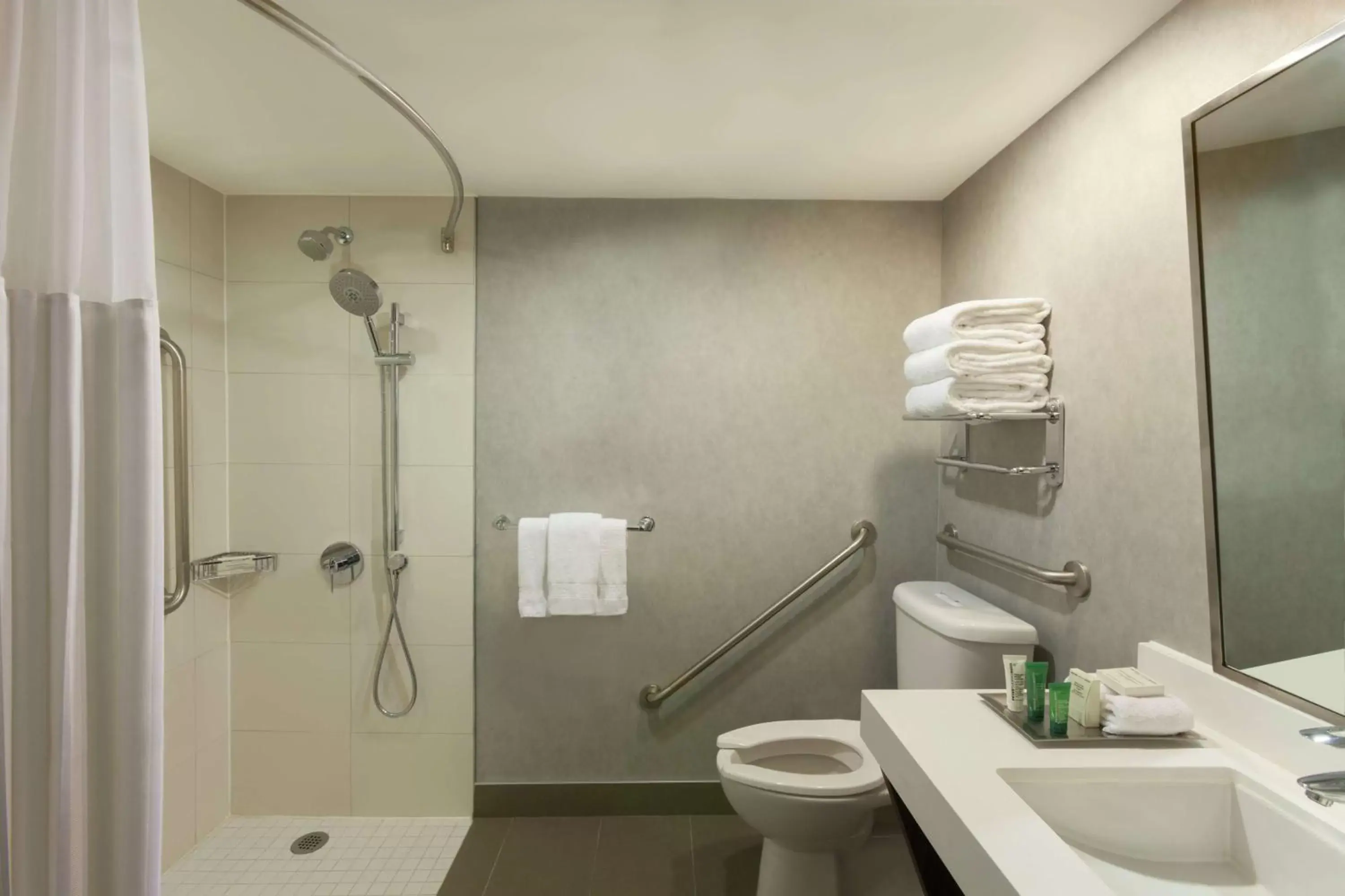 Bathroom in Hilton Toronto Airport Hotel & Suites