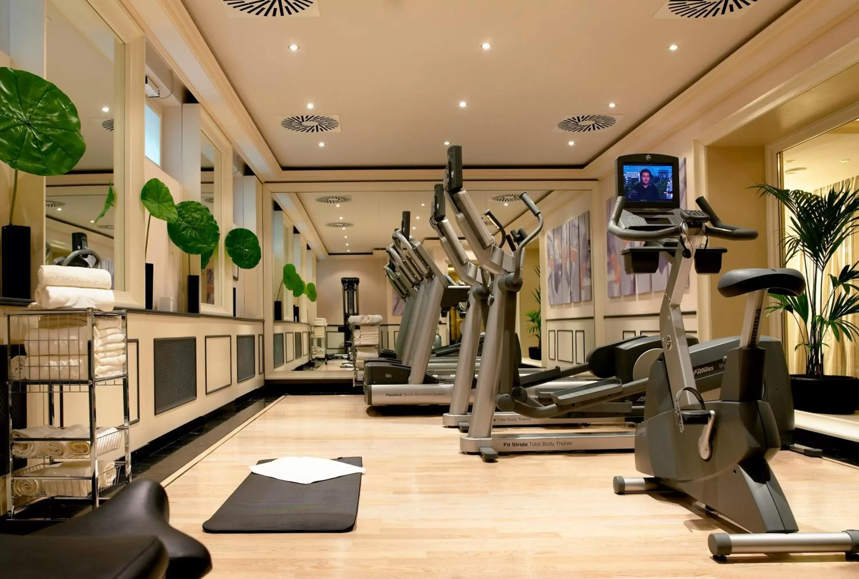 Fitness centre/facilities, Fitness Center/Facilities in Hotel Sacher Wien
