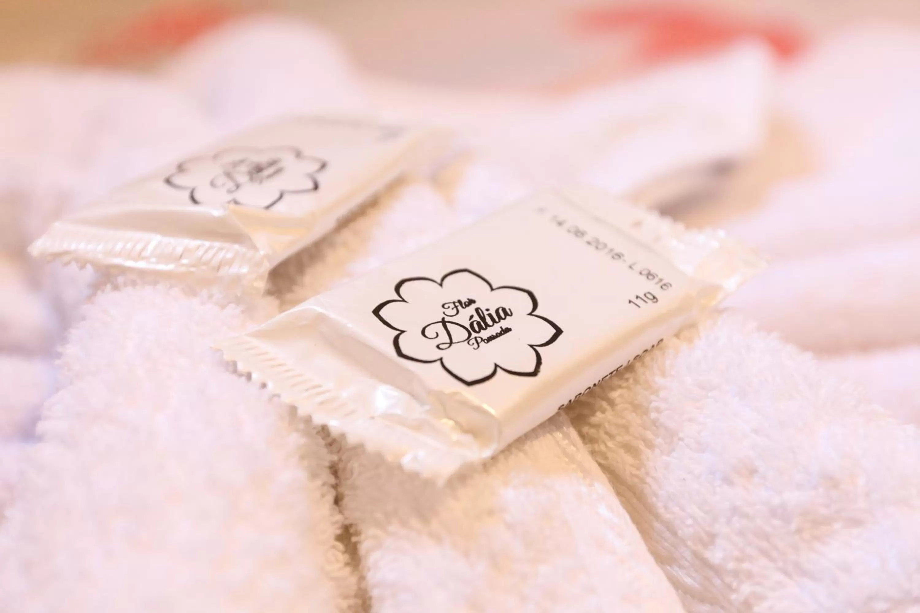 Decorative detail in Pousada Flor Dália