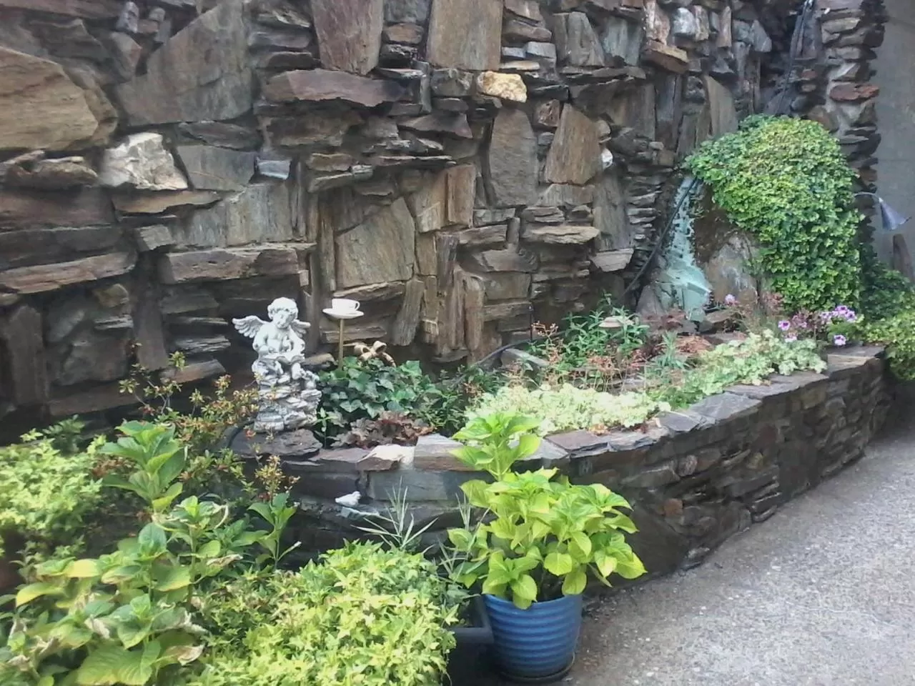 Garden in Gunn House Hotel