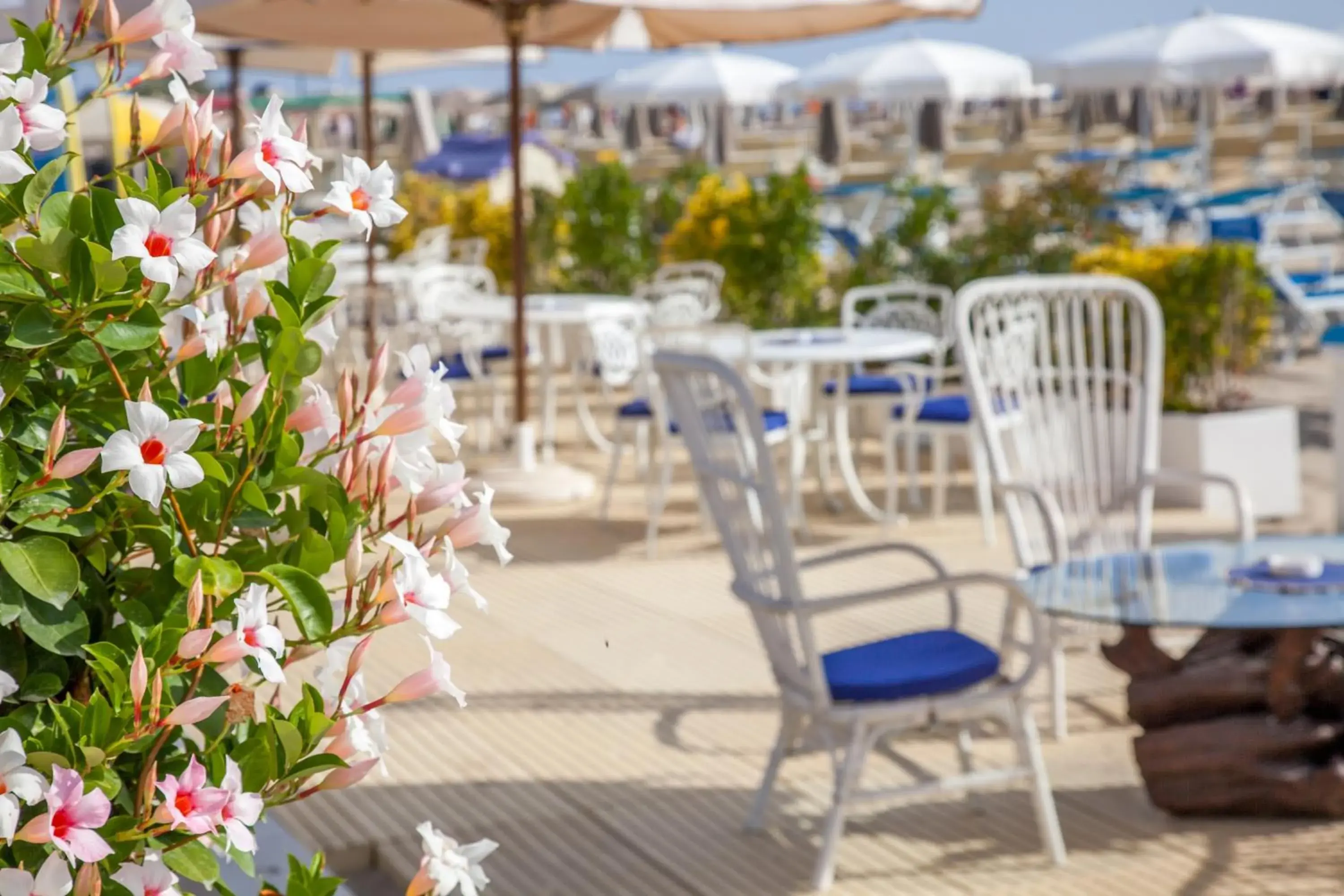 Beach in Hotel Aurelia