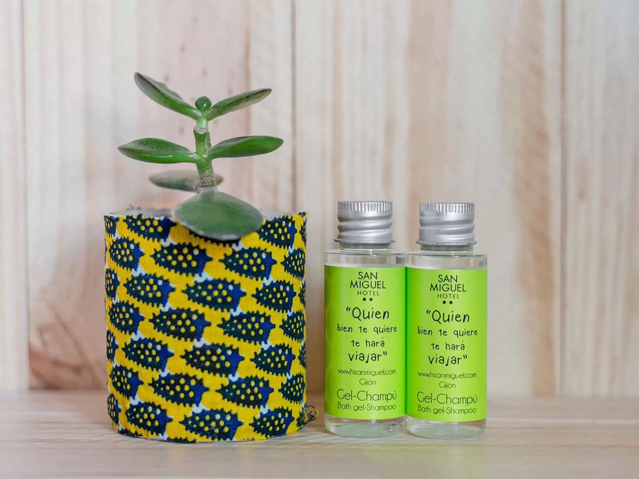 Decorative detail in Hotel San Miguel