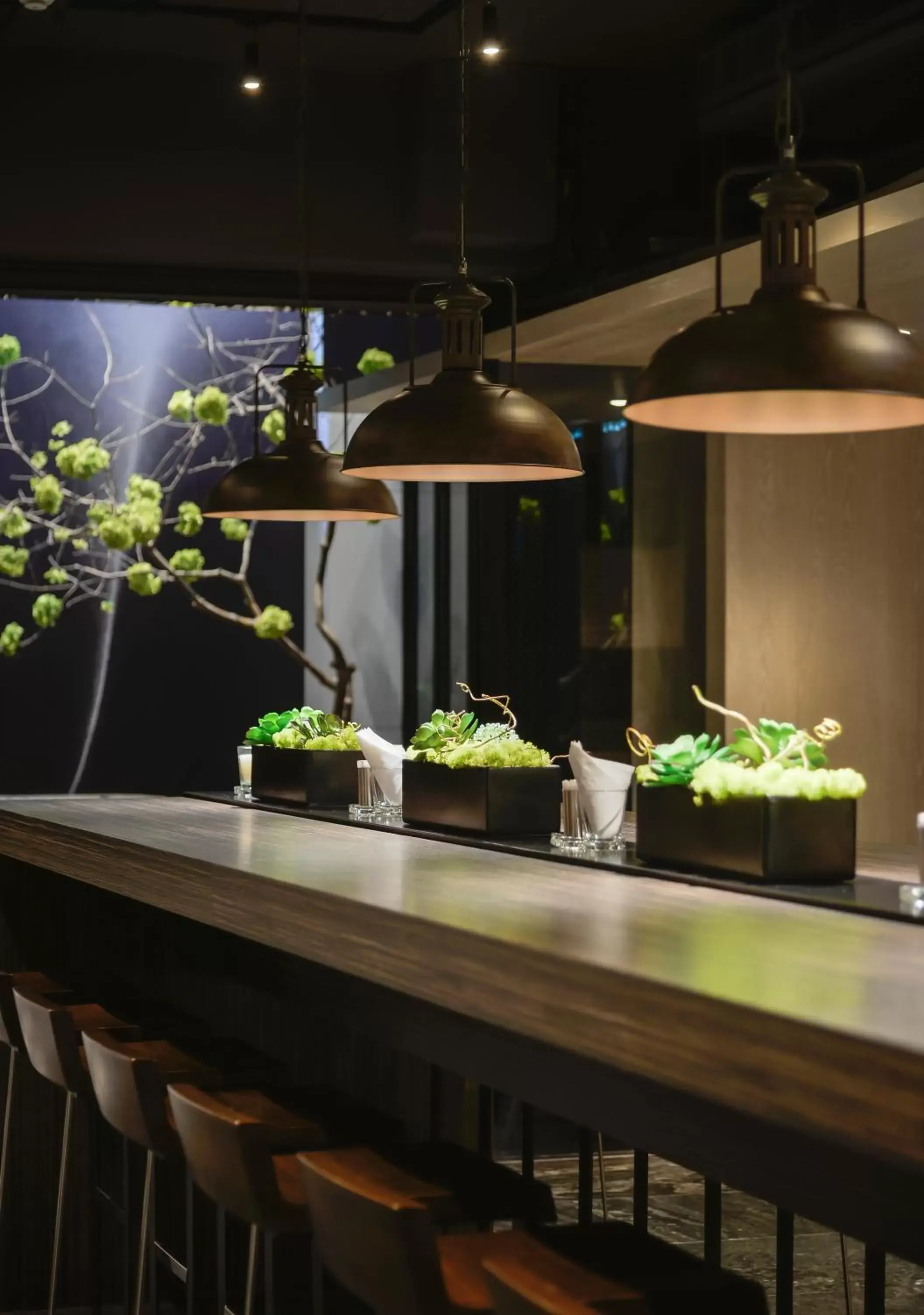 Restaurant/places to eat in Starhaus Hotel Restaurant/places to eat in Starhaus Hotel