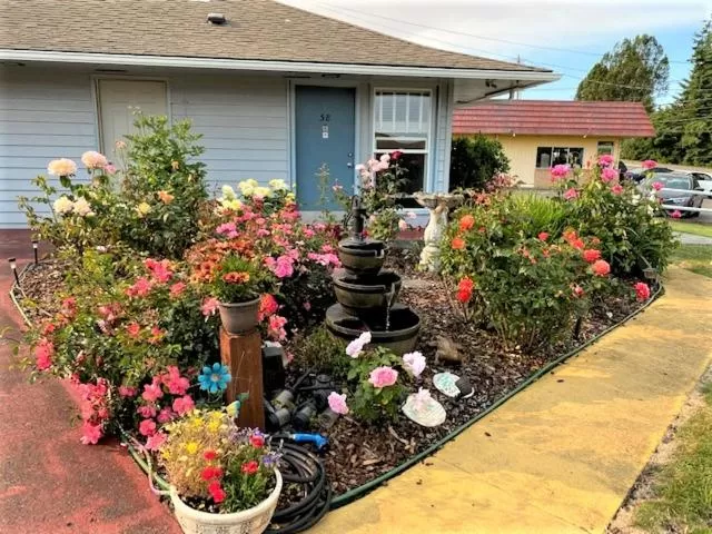 Property Building in Myrtle Lane Inn