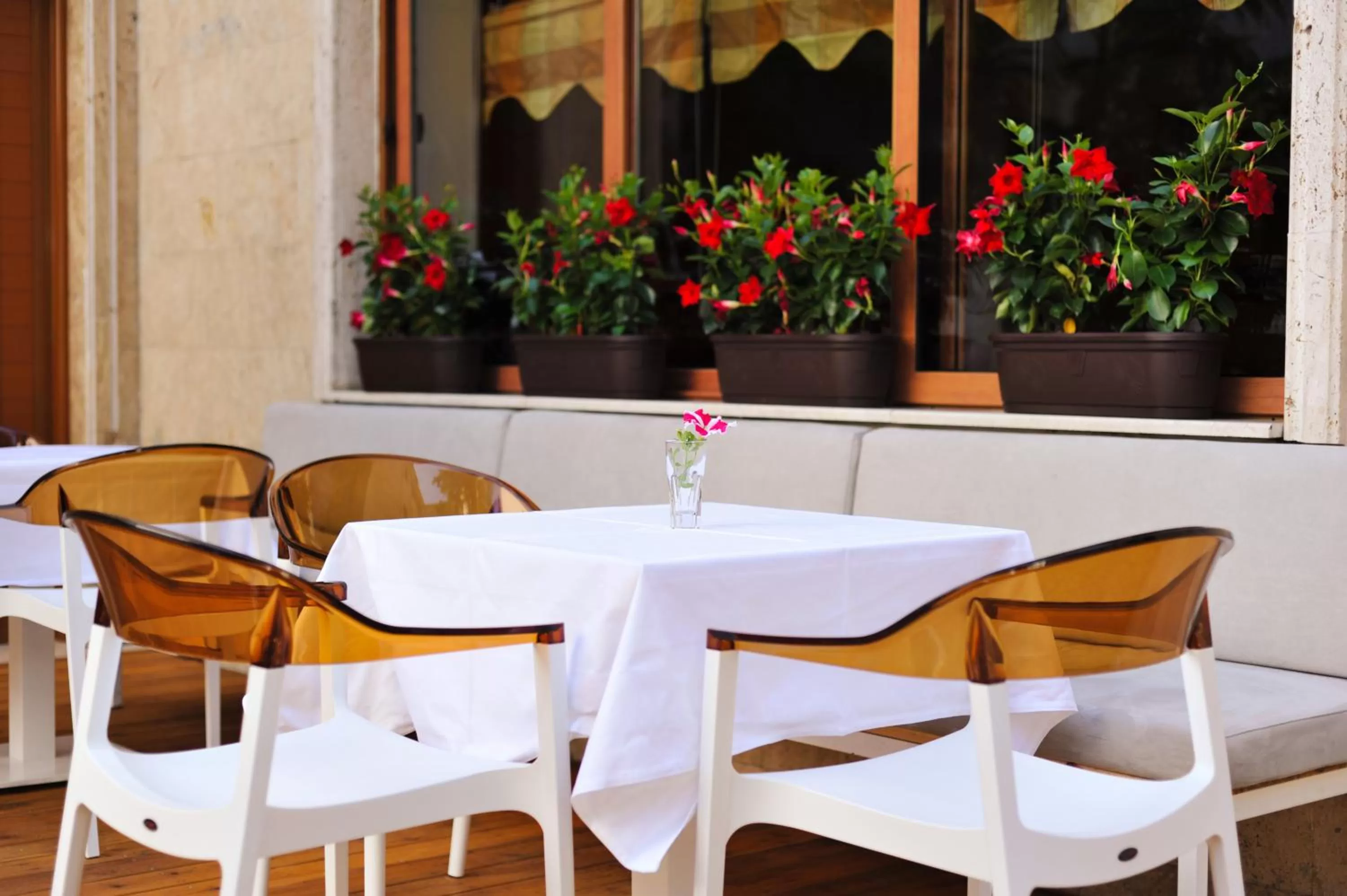 Restaurant/places to eat in Hotel Vila e Arte City Center