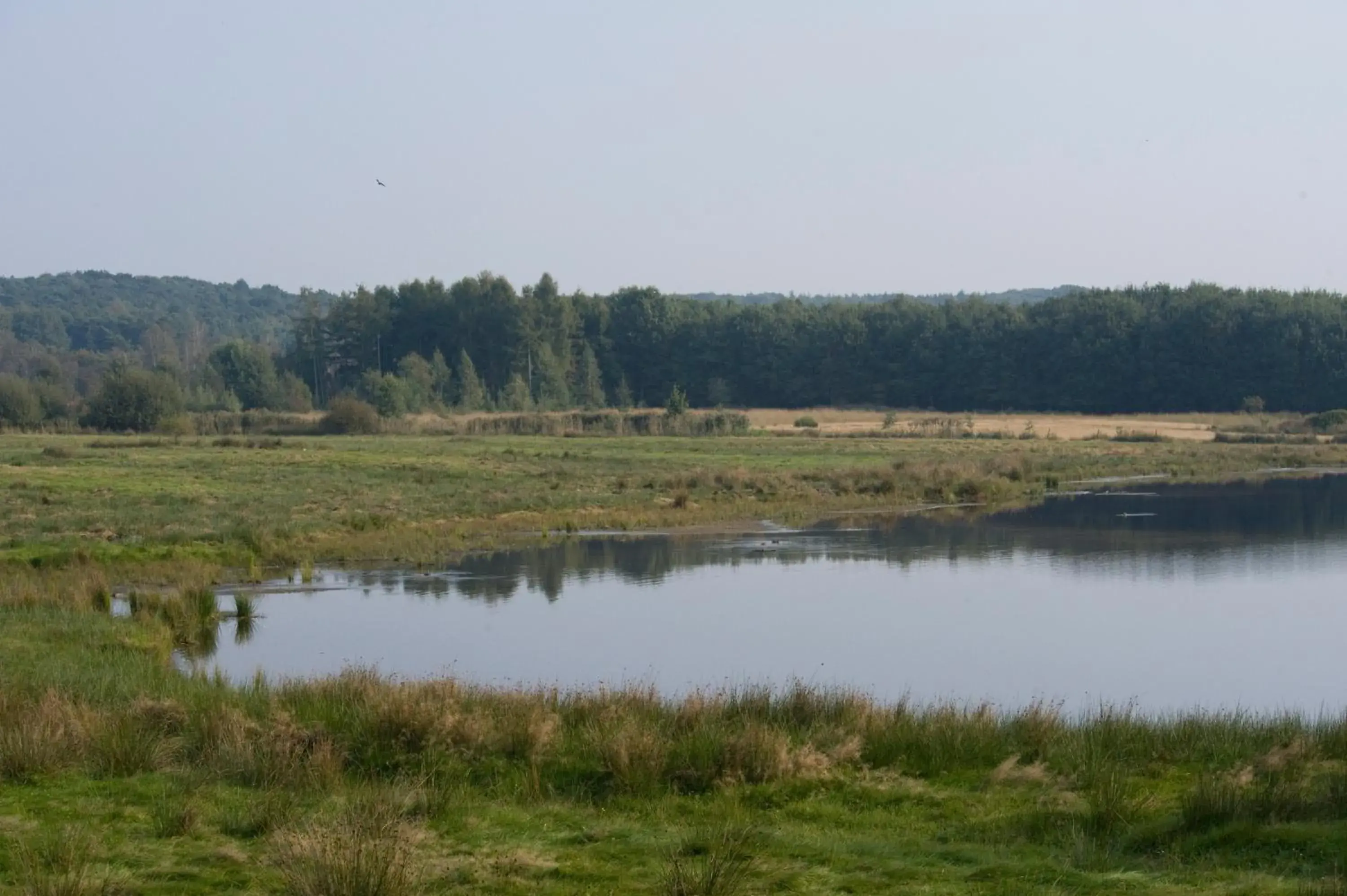 View (from property/room) in Fletcher Landhotel Bosrijk Roermond