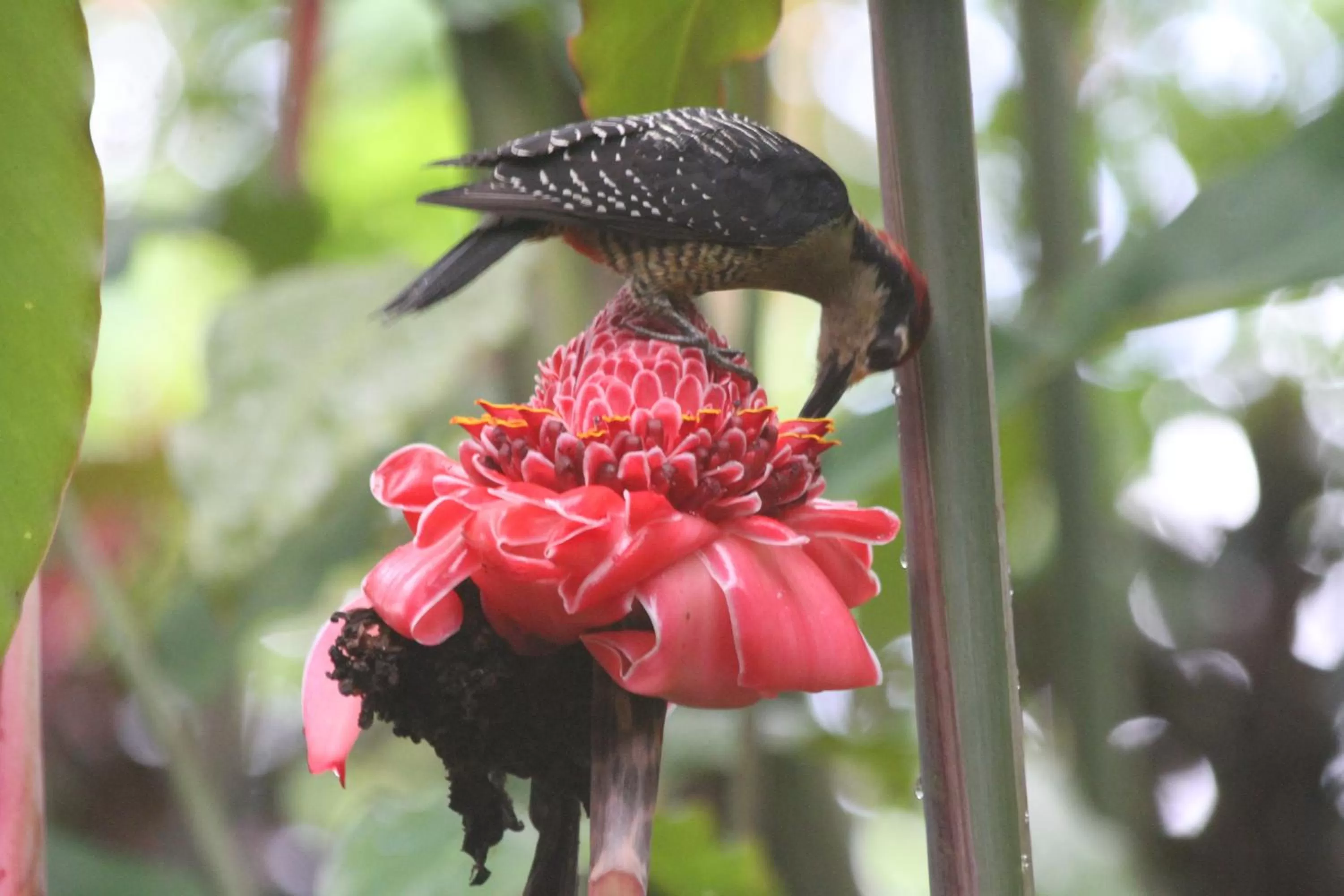 Bird's eye view in Hotel Kokoro Mineral Hot Springs