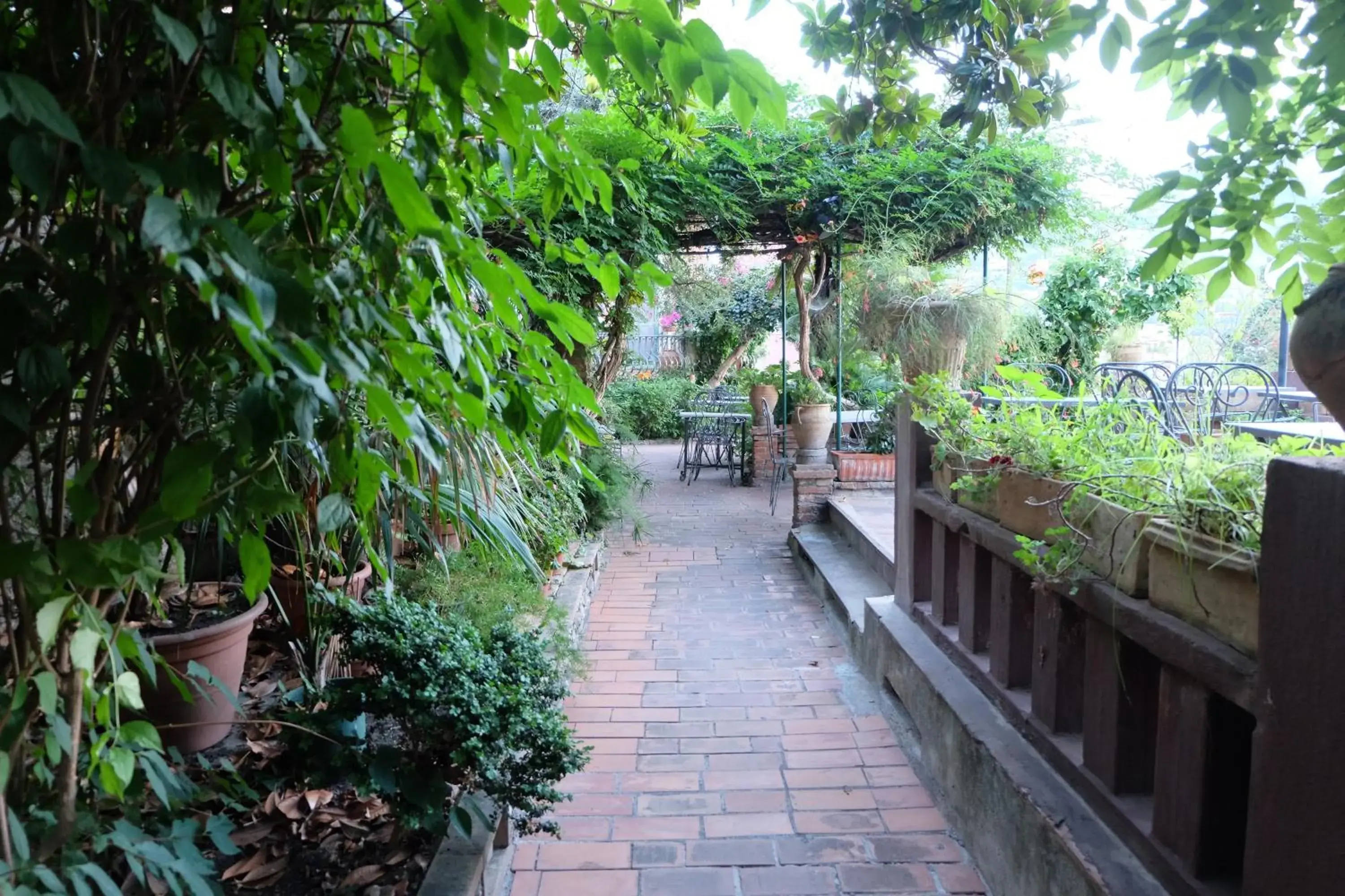 Garden view in Hotel Villa Nettuno
