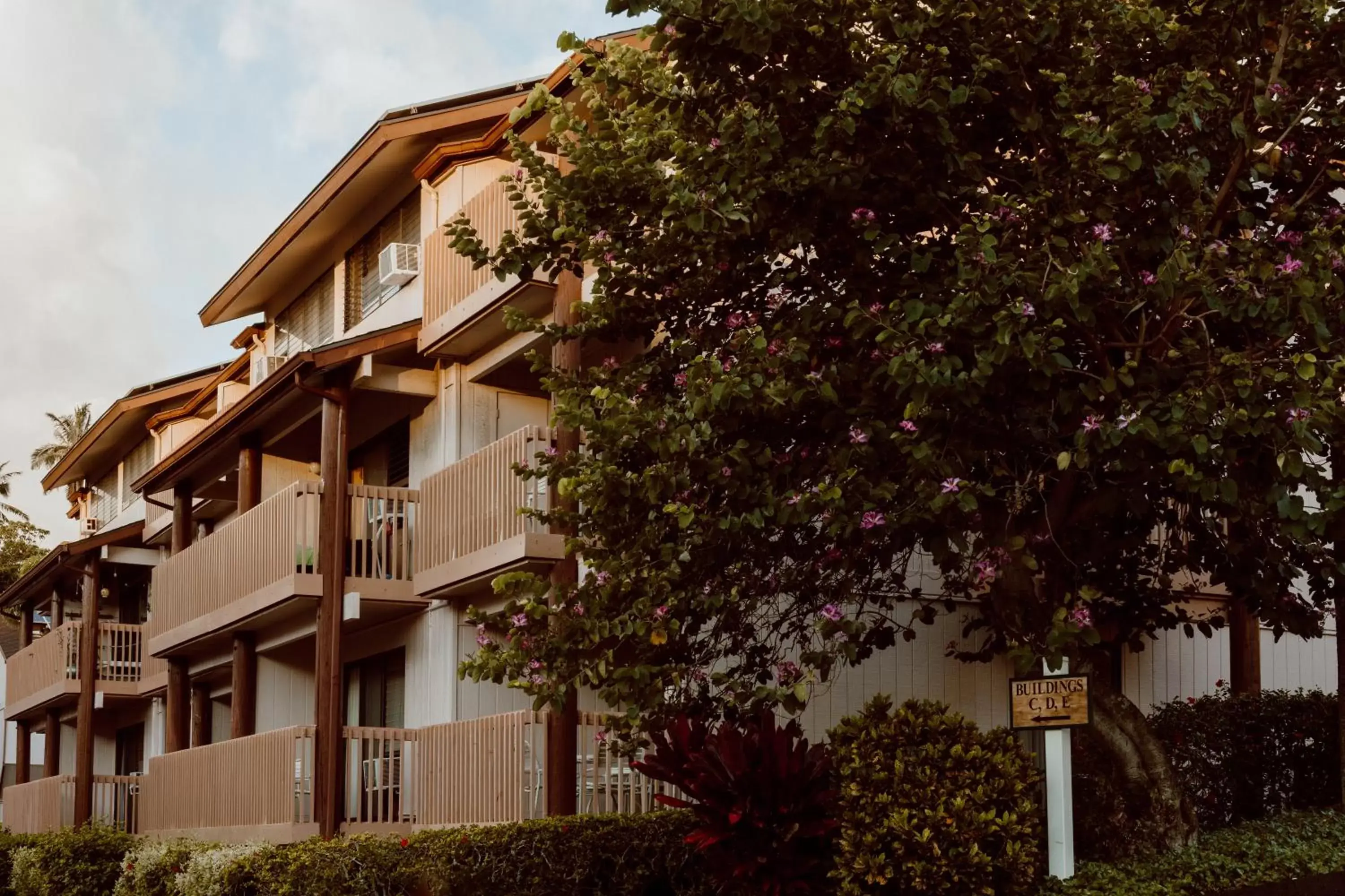 Property Building in Banyan Harbor Resort