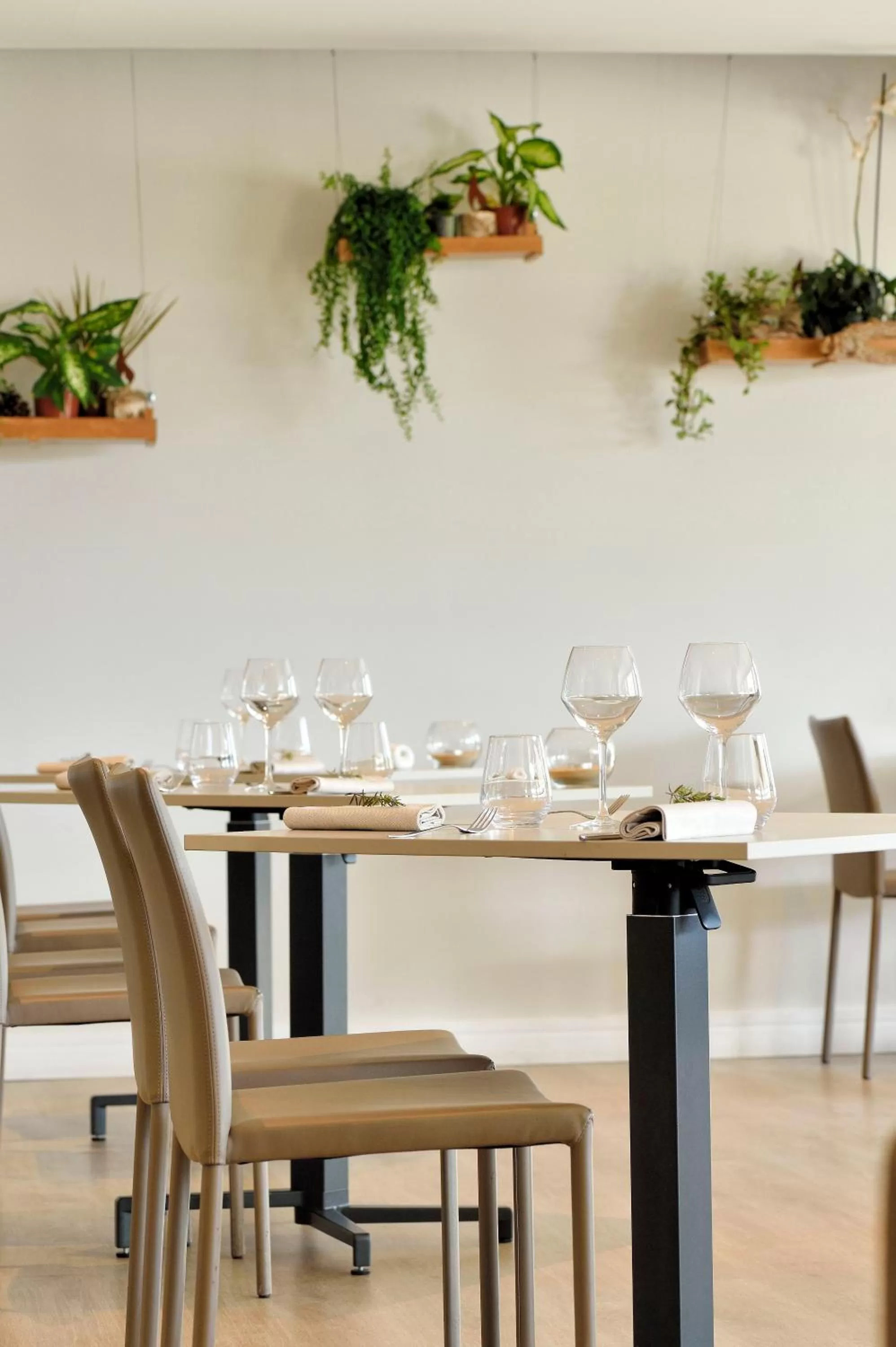 Restaurant/places to eat in Hotel Bartaccia