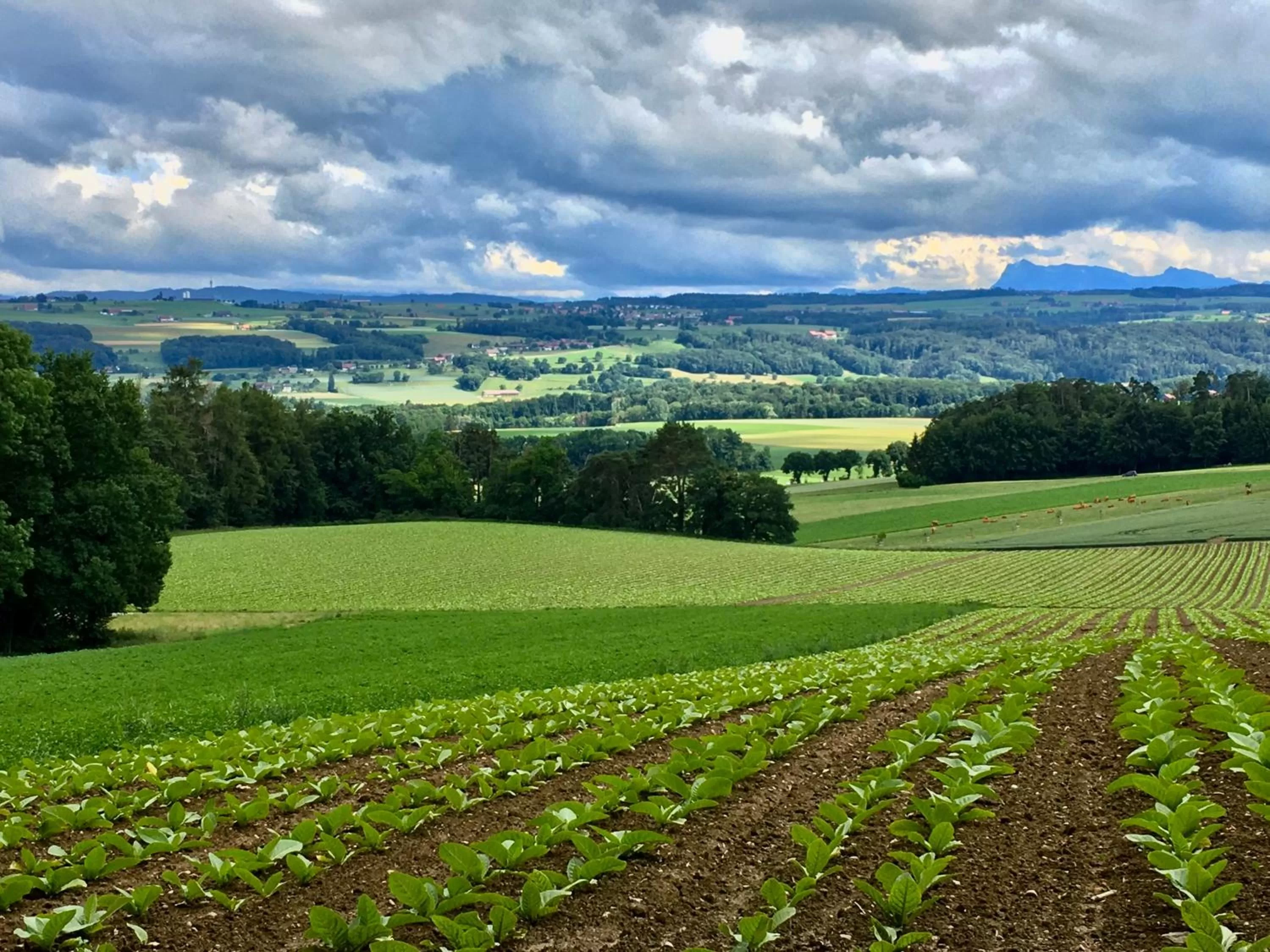 Hiking, Natural Landscape in Les 3 Coeurs - Chambres chez charmants habitants