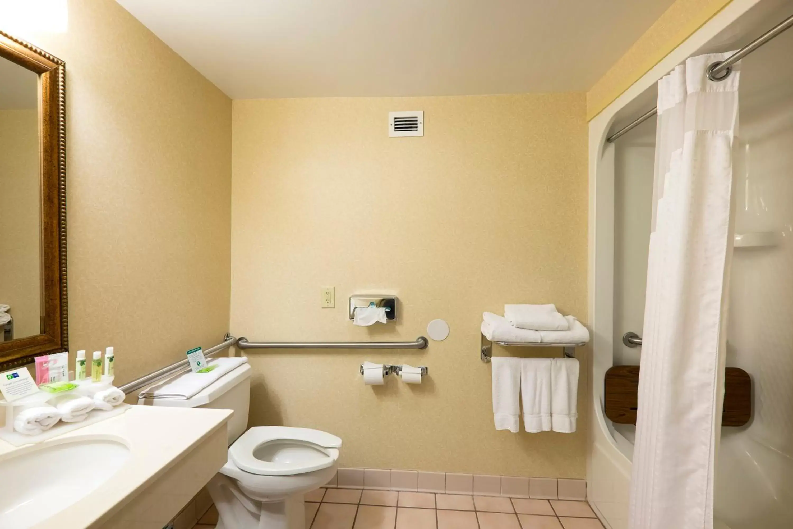 Photo of the whole room, Bathroom in Wingate by Wyndham Waynesboro