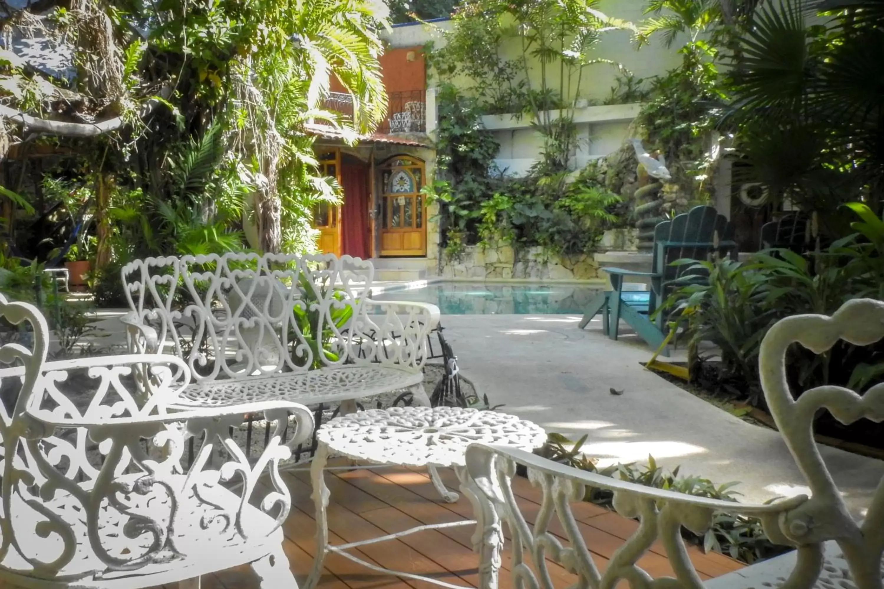 Garden in Eco-hotel El Rey del Caribe