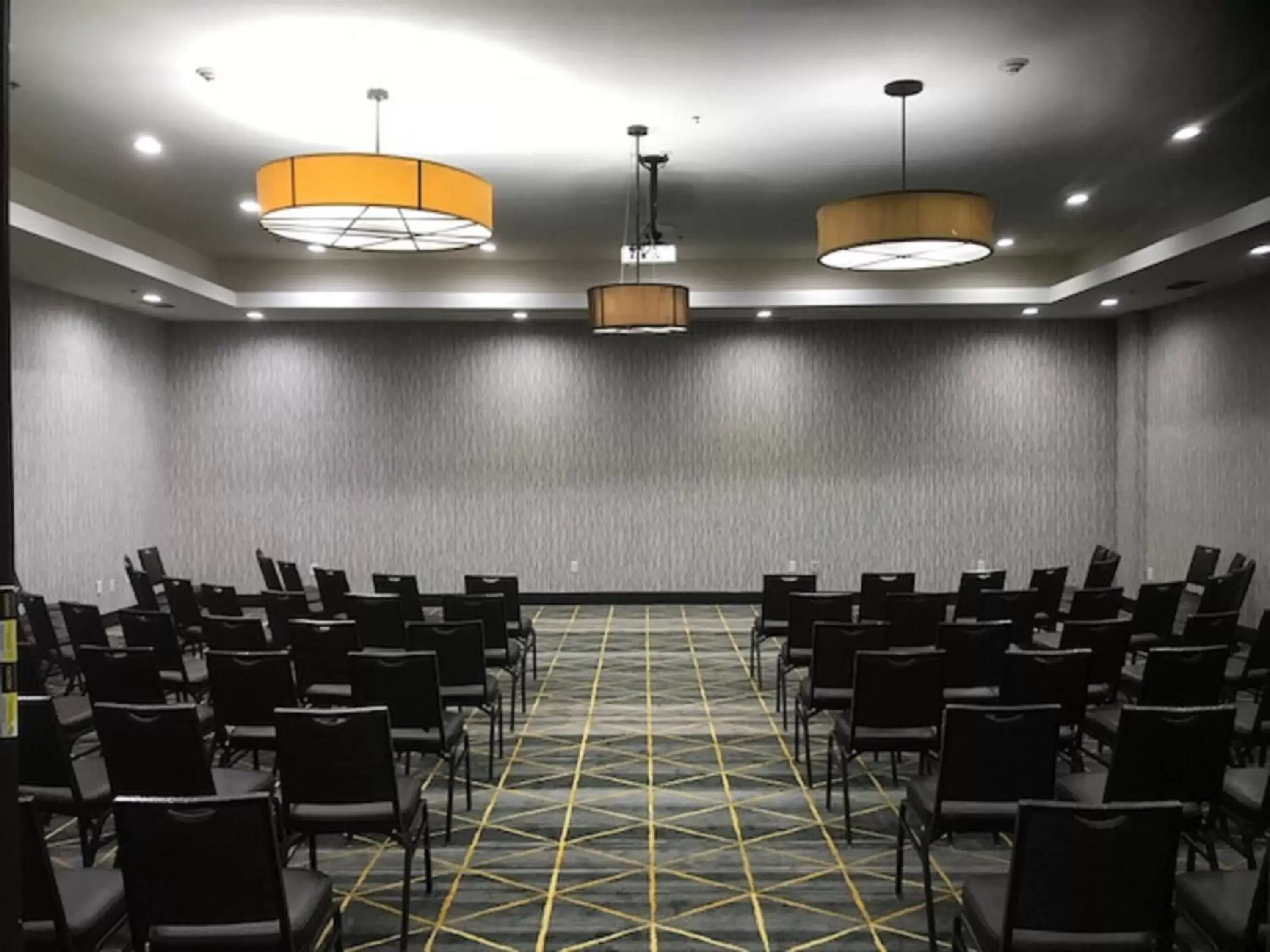 Meeting/conference room in Holiday Inn & Suites McKinney - N Allen, an IHG Hotel