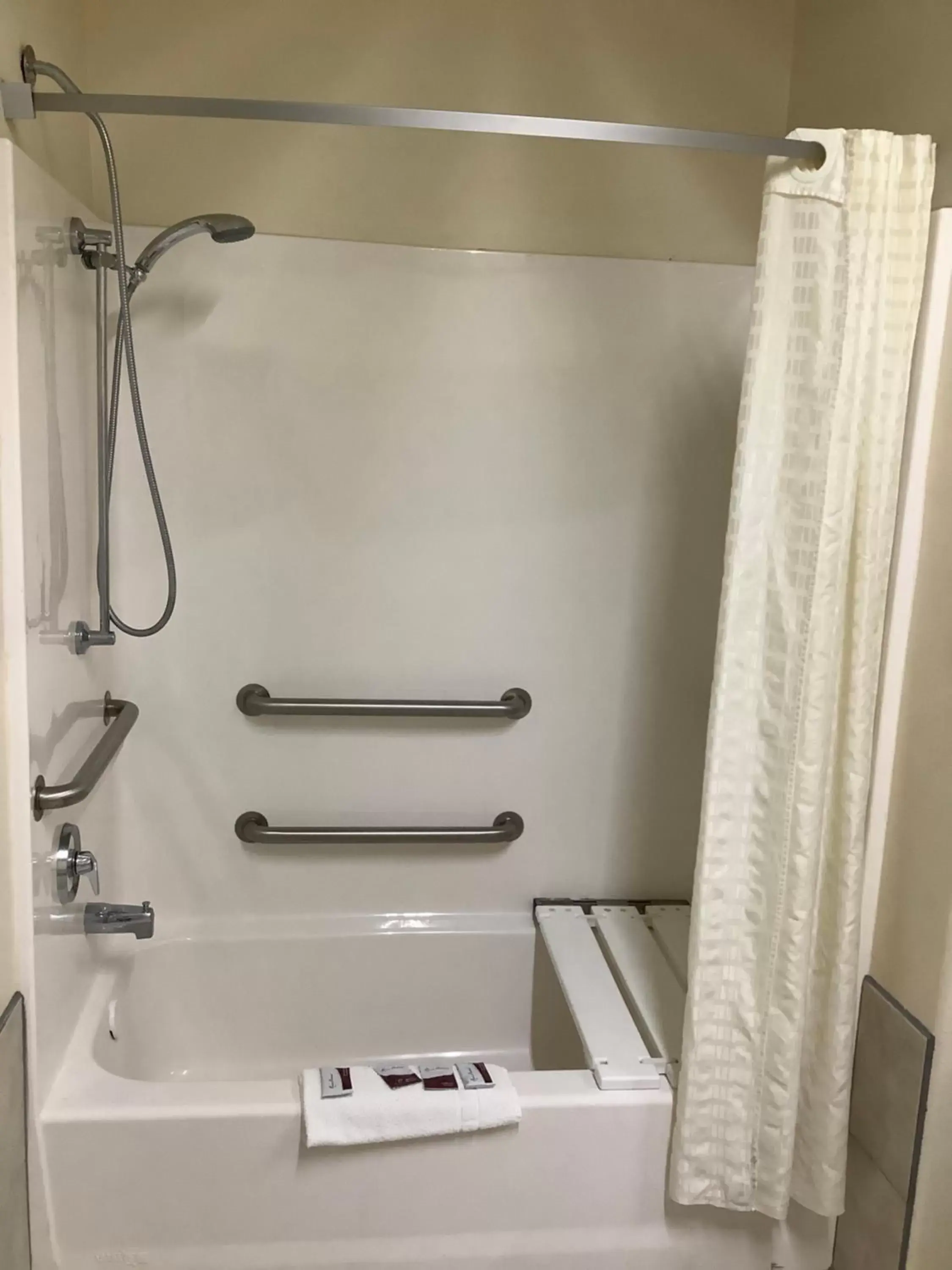 Bathroom in Texas Inn - Welasco/Mercedes