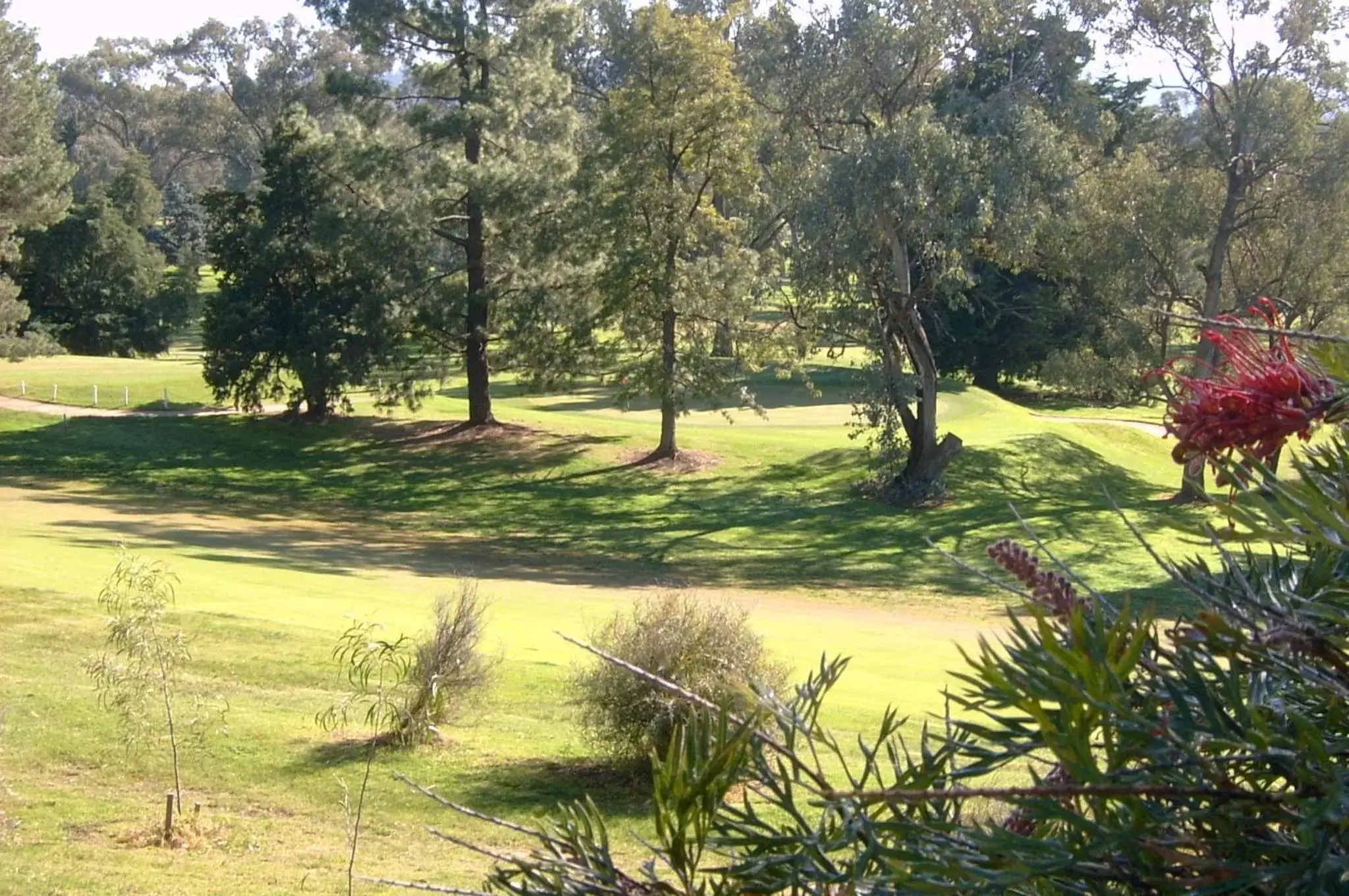 Golfcourse in Commercial Golf Resort