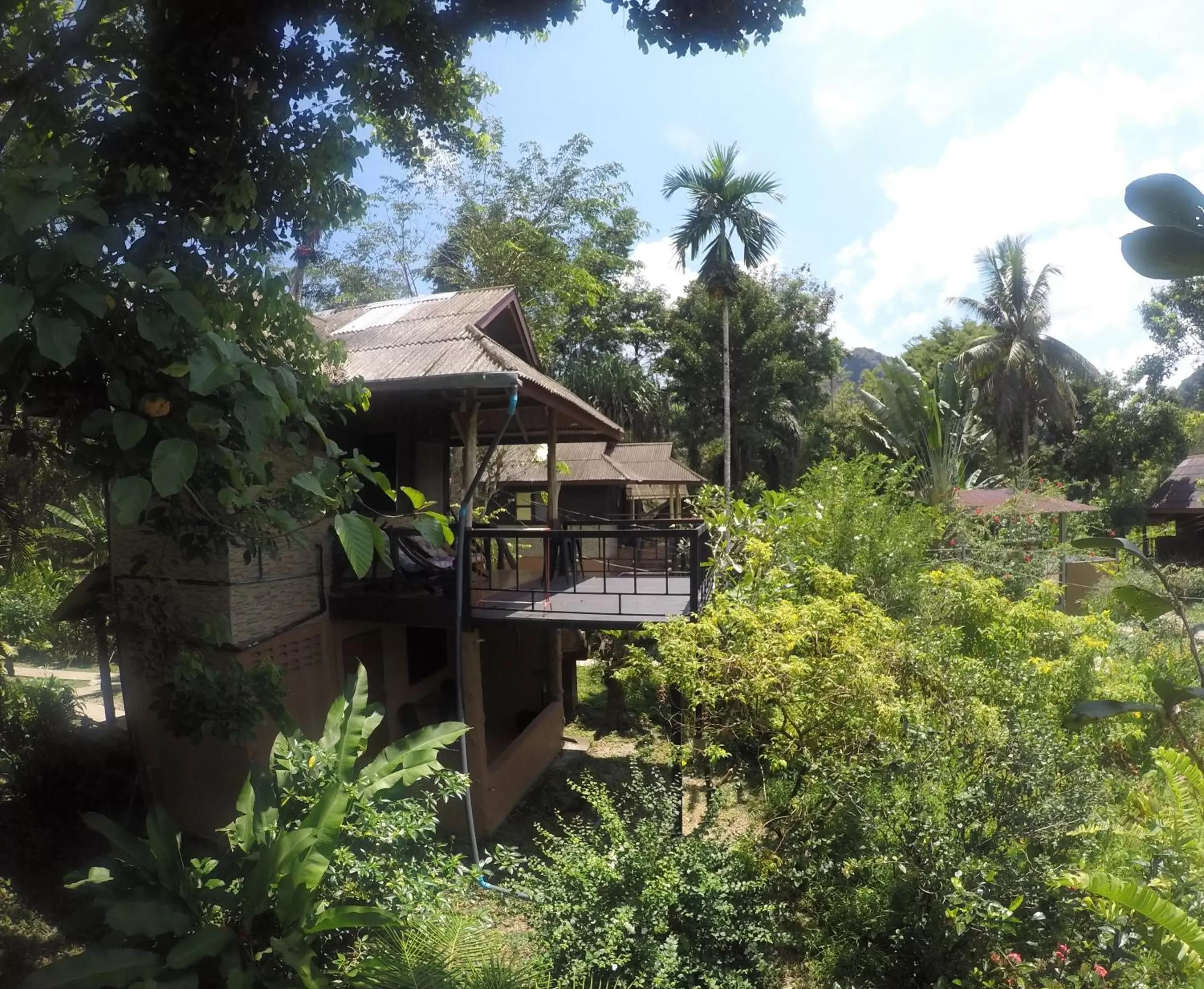 Property Building in Khao Sok Morning Mist Resort