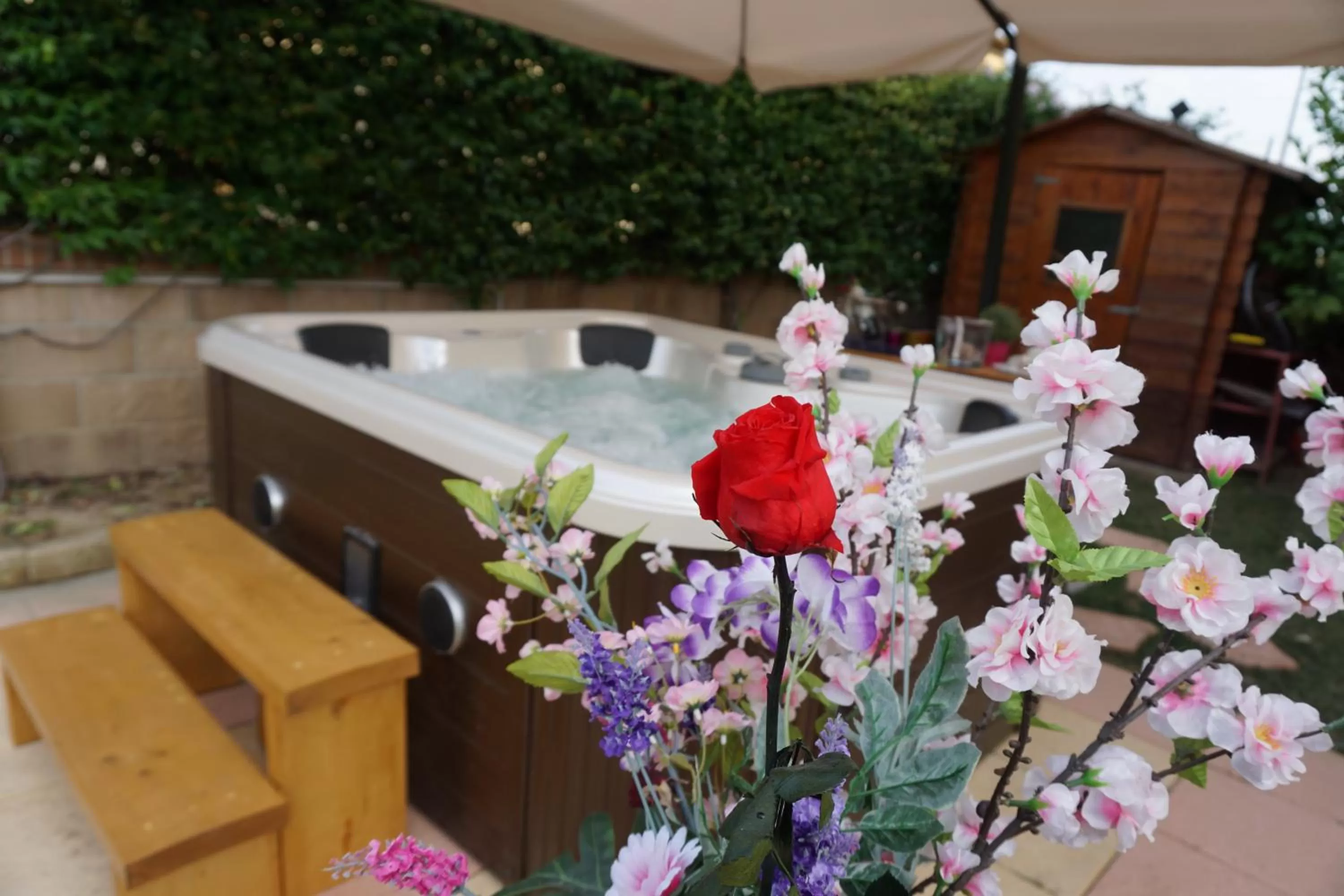 Swimming pool in Il Dolce Sospiro