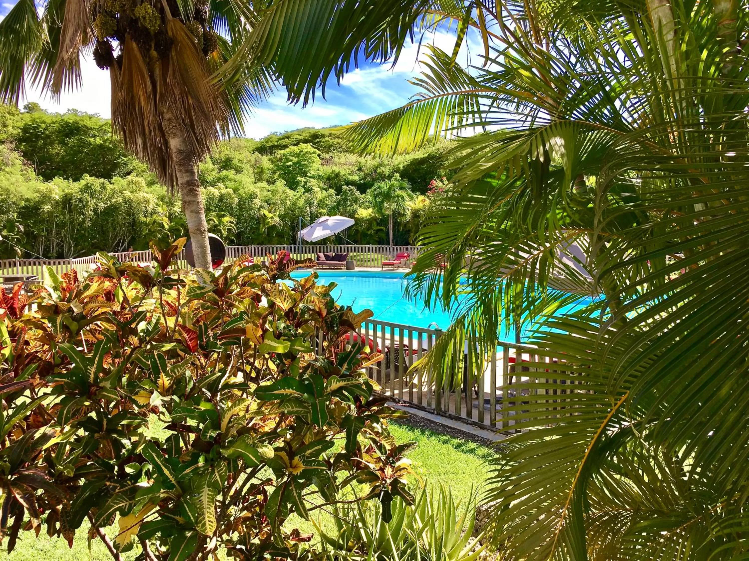 Garden in Résidence Le Vallon Guadeloupe Parc Piscine Appartements & Studios