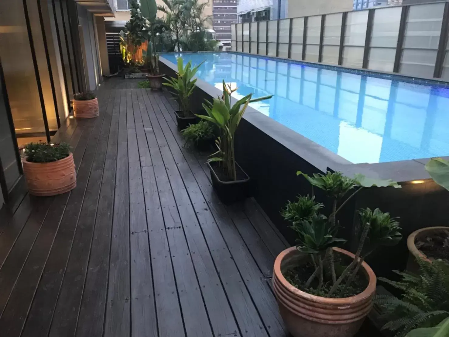 Swimming pool, Pool View in The Tree House