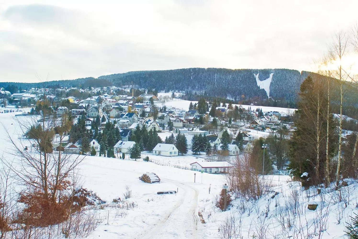 Natural landscape in Hotel Zum Schneekopf "Garni"