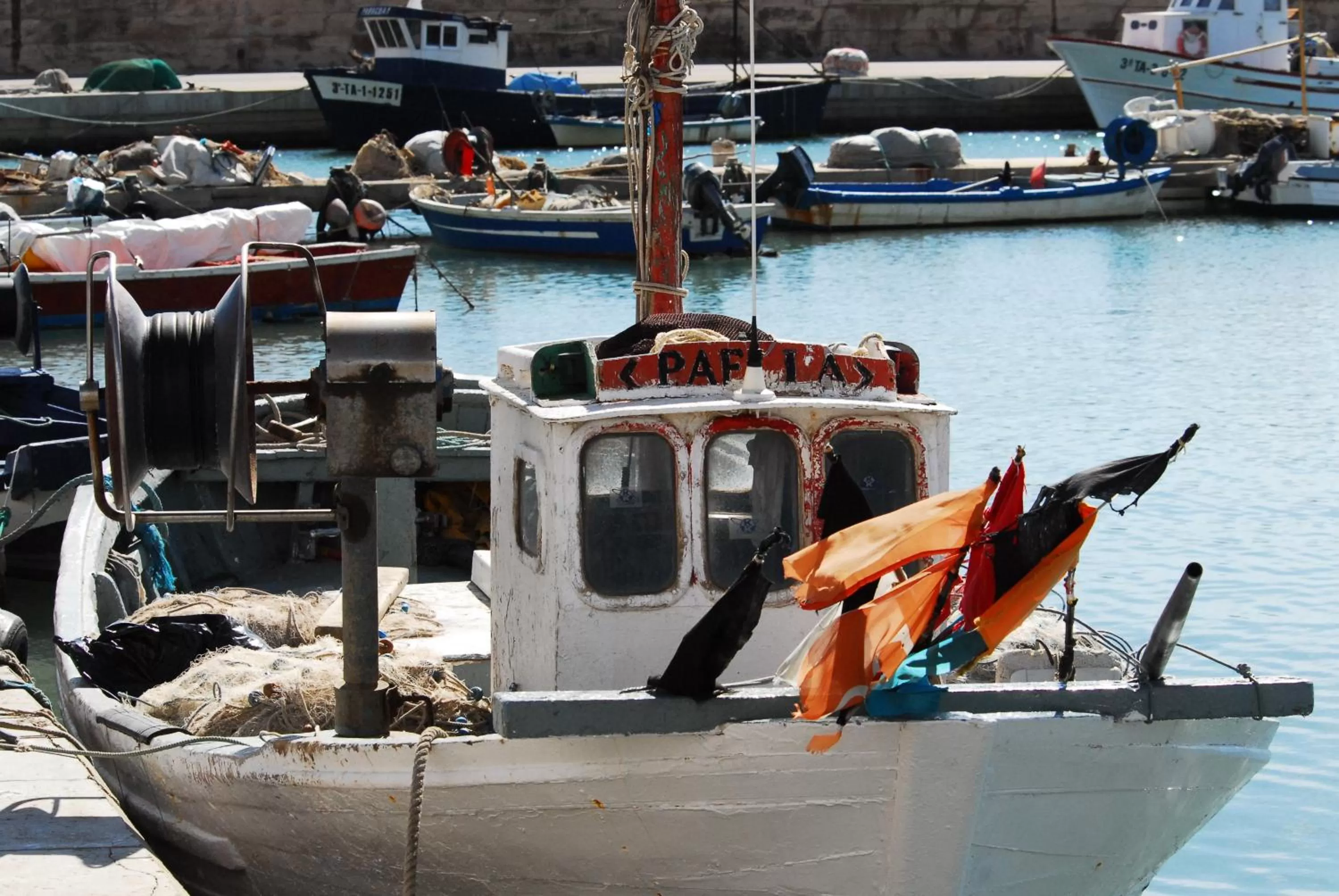 Area and facilities in Hotel Ampolla Sol