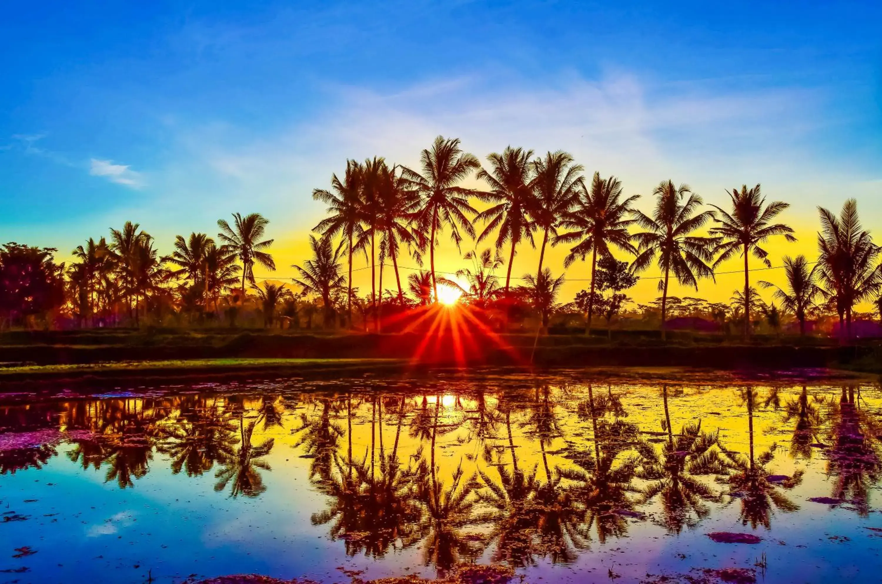 Natural landscape, Sunrise/Sunset in Griya Sriwedari