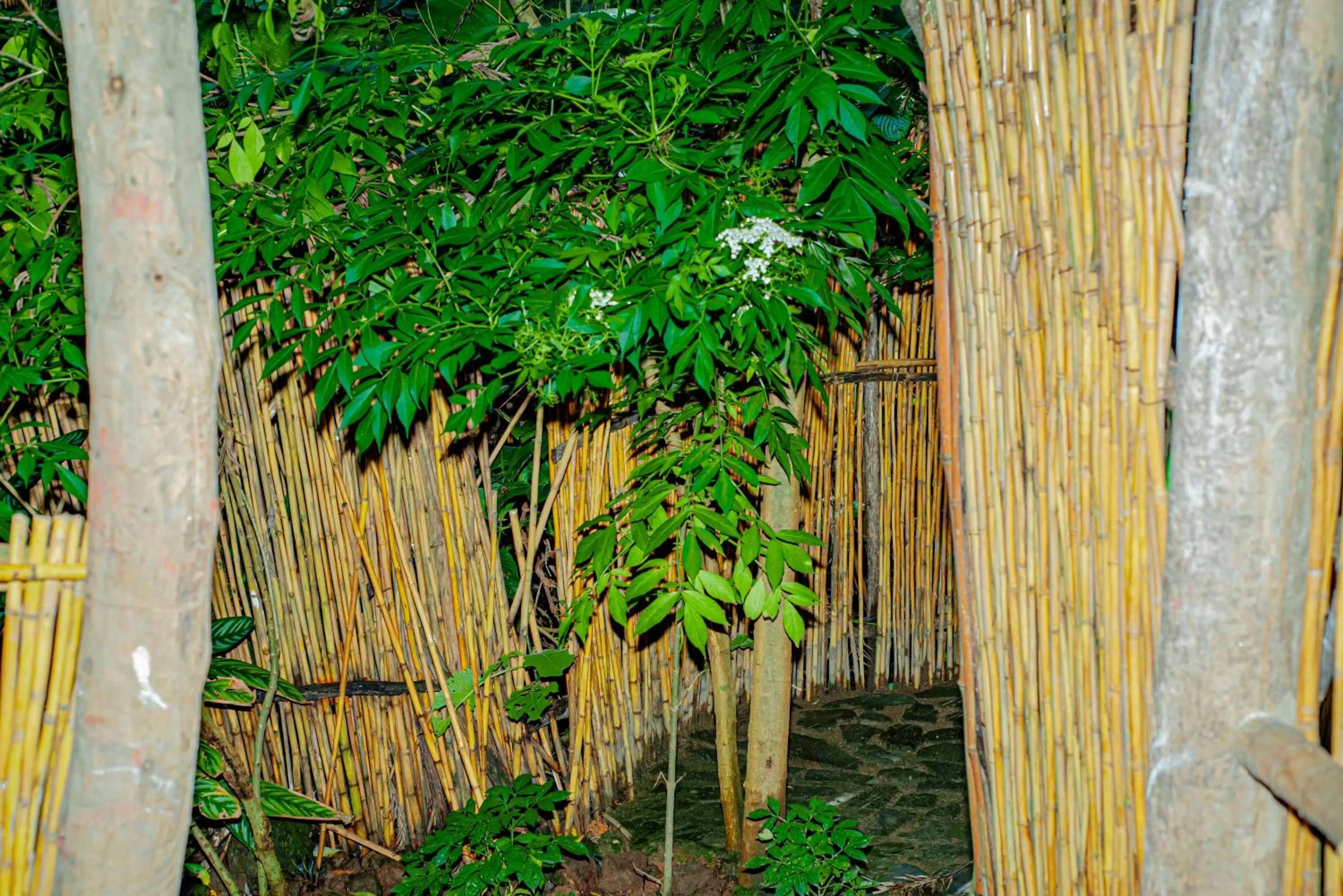 Garden in Fravan Eco Resort By Apogee